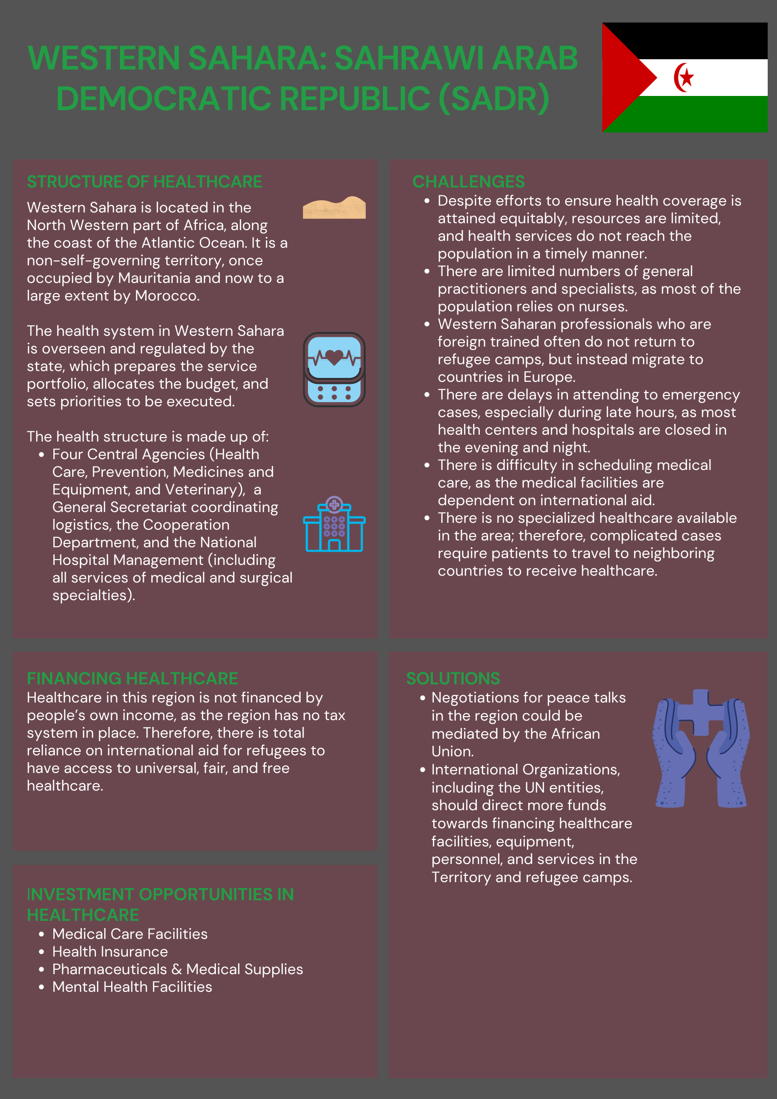 Western Sahara Healthcare 101