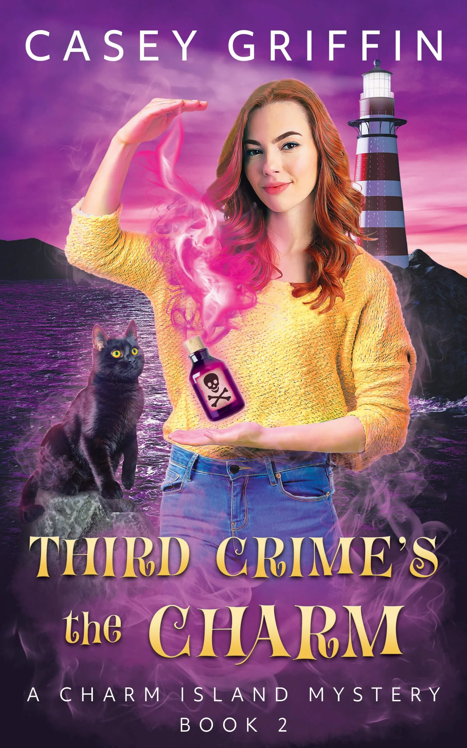 Third Crime's the Charm book cover