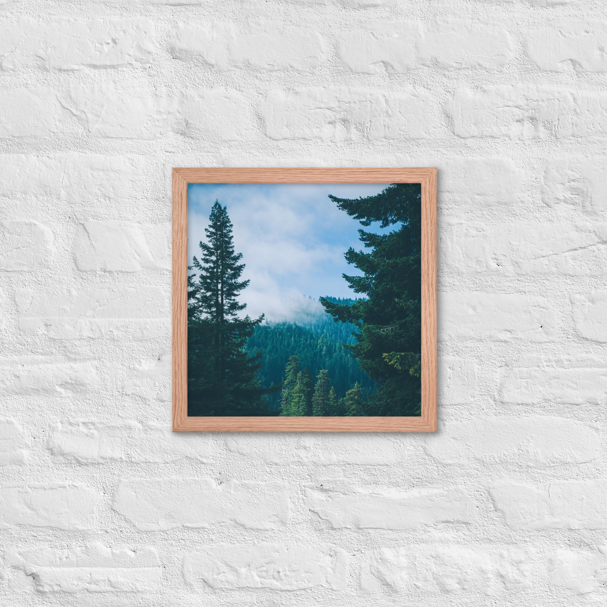 premium-luster-photo-paper-framed-poster-(in)-red-oak-14x14-front-63801a9d30fee.jpg