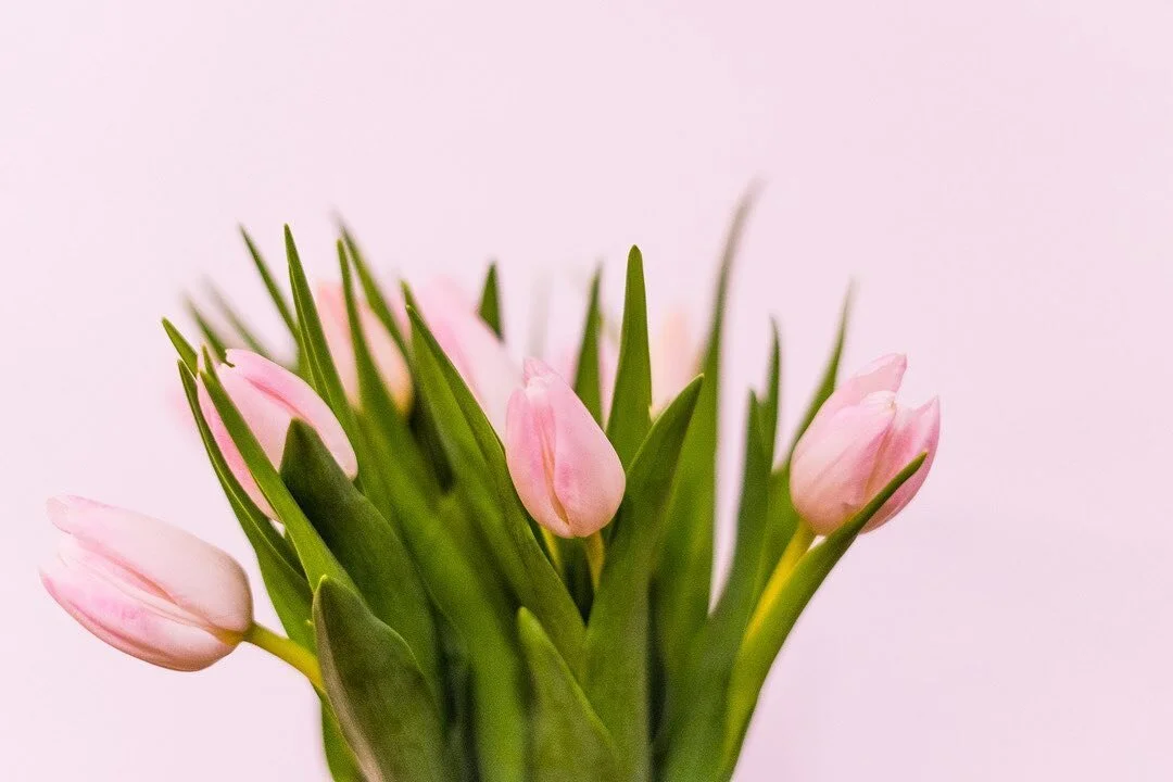 Happy International Women's Day! At Hourglass Recruitment, we are working towards a gender equal world. A world free of bias, stereotypes, and discrimination. 
⠀⠀⠀⠀⠀⠀⠀⠀⠀
For International Women's Day and beyond, let's all fully #EmbraceEquity. When w