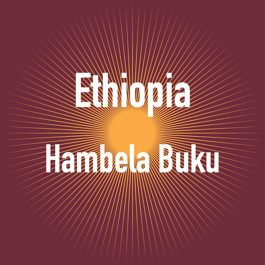 Ethiopia Dry Process Hambela Buku