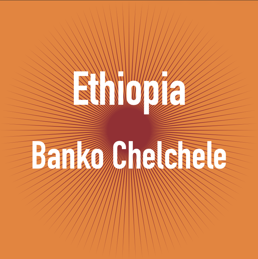 Ethiopia Banko Chelchele Anaerobic Natural