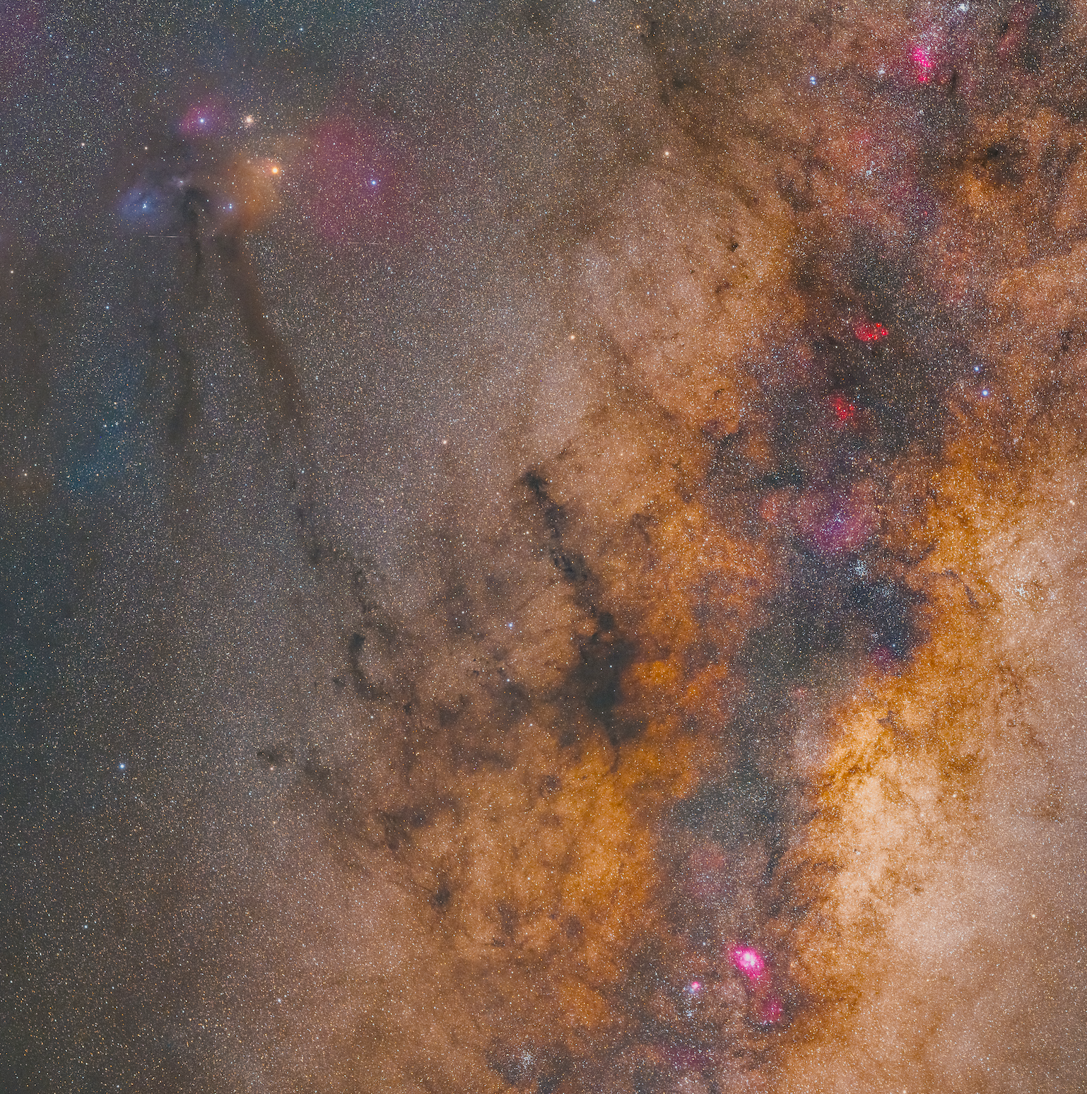 Wide Field.png (Copy) (Copy)