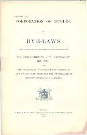 The Evolution of Irish Building Bye-Laws: What applies to your property?