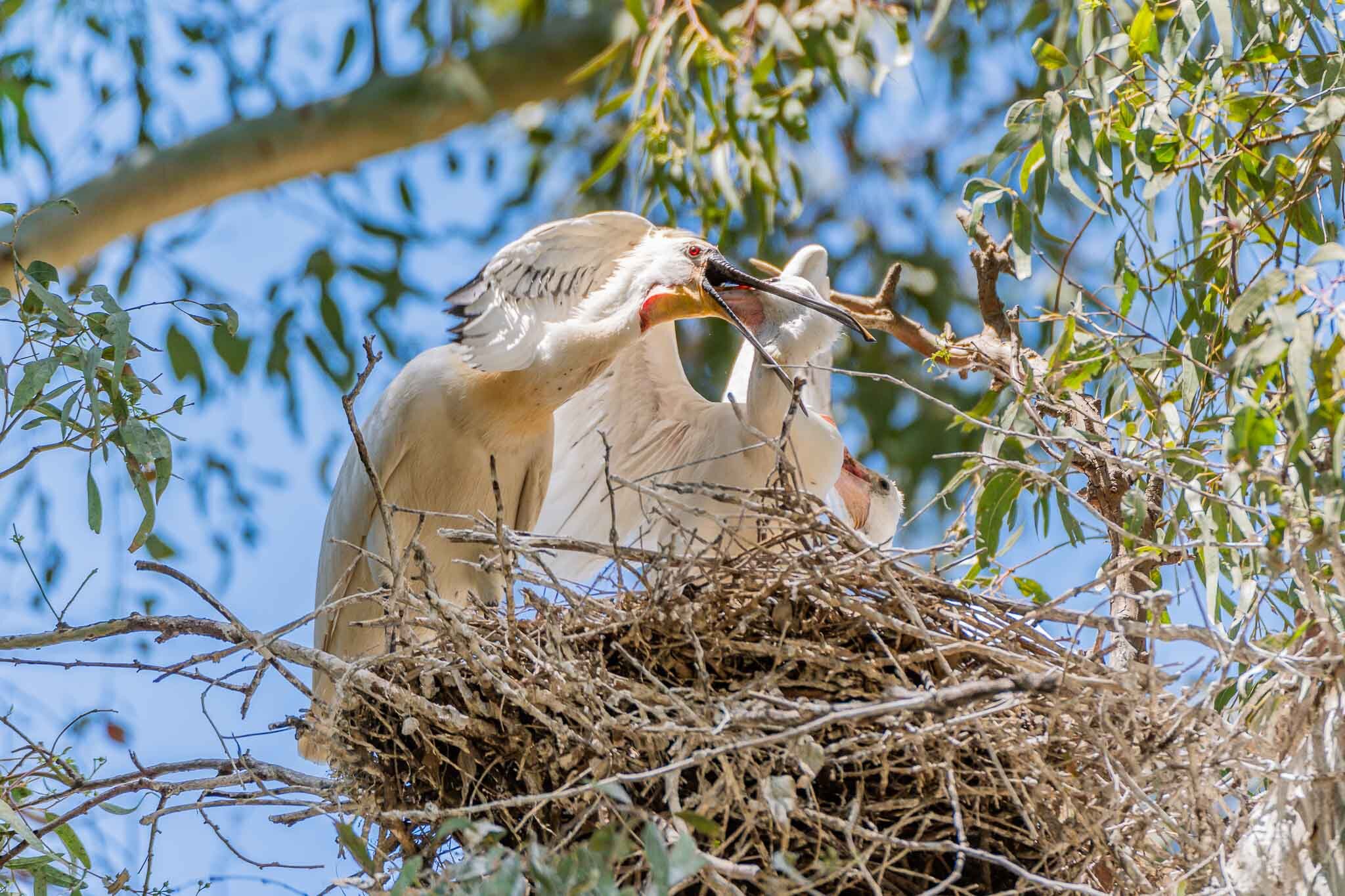 Doñana Living -704.jpg