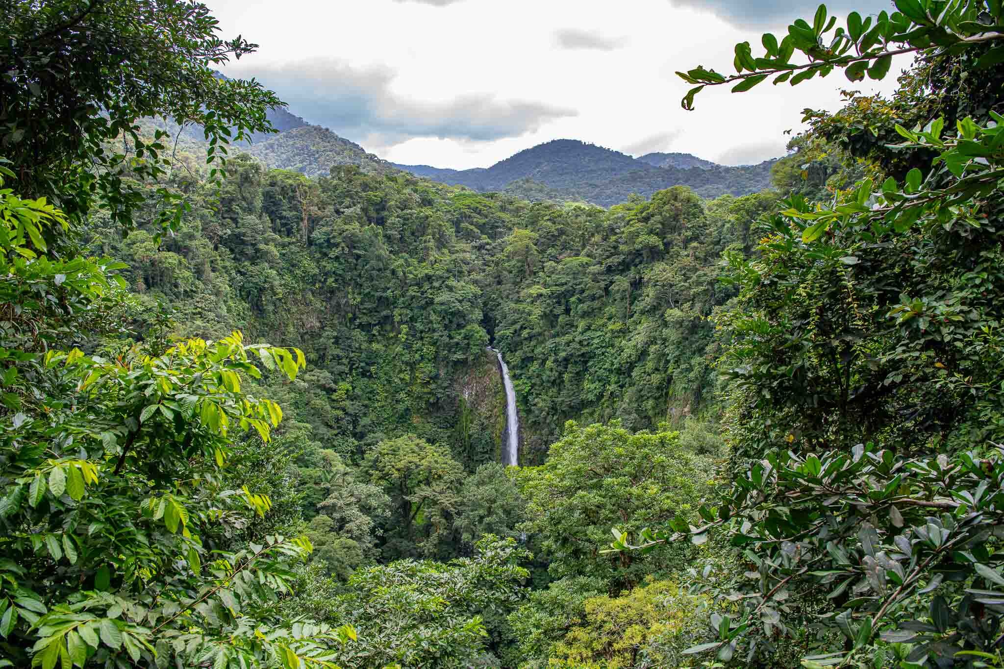 Costa Rica-5112.jpg