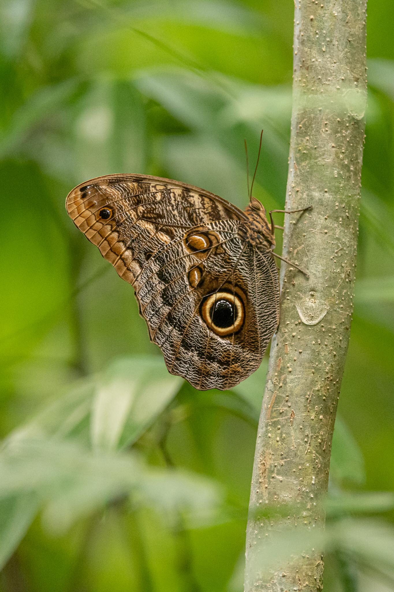 Costa Rica-57.jpg