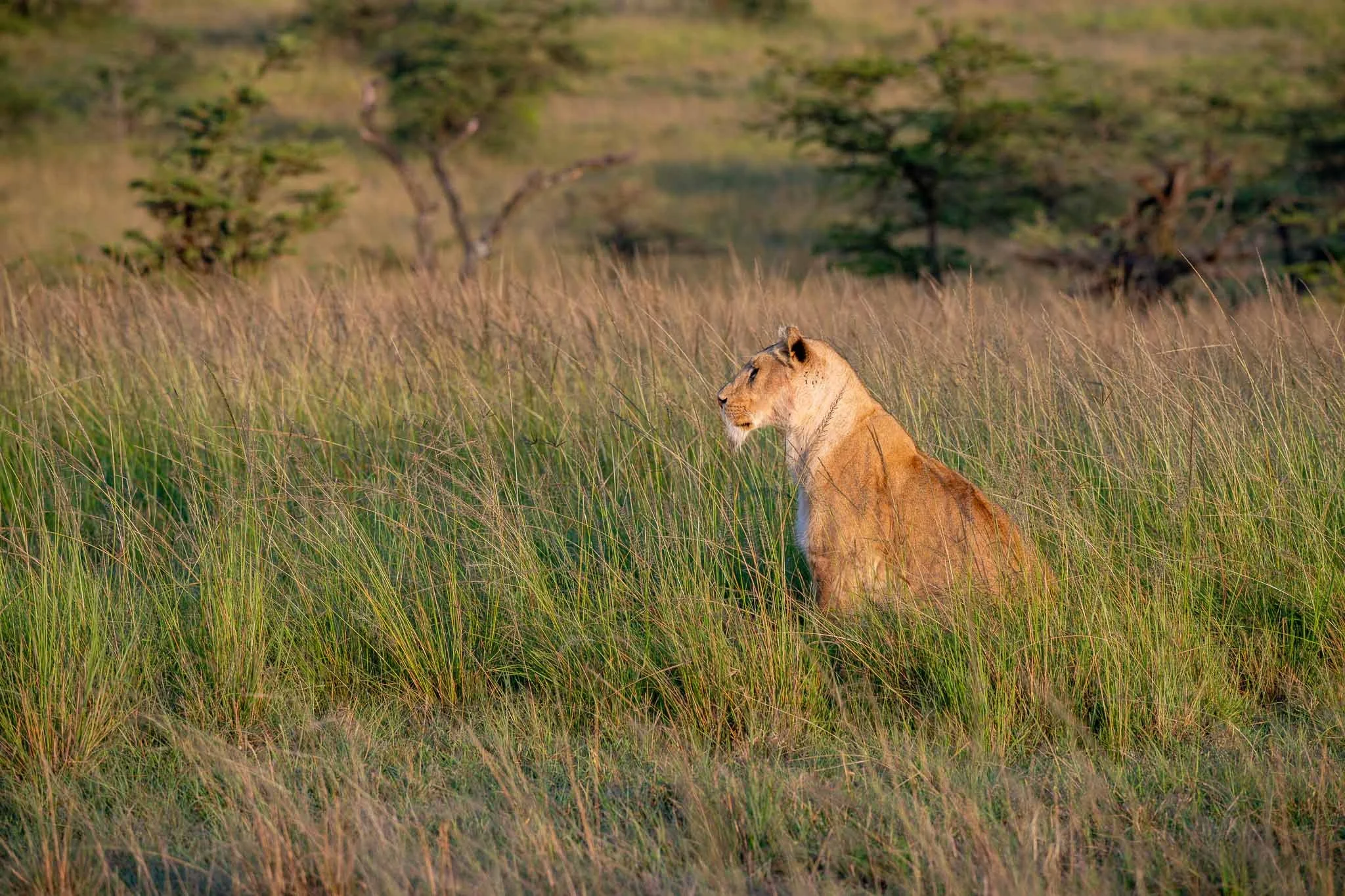 _Z084071-2.jpg