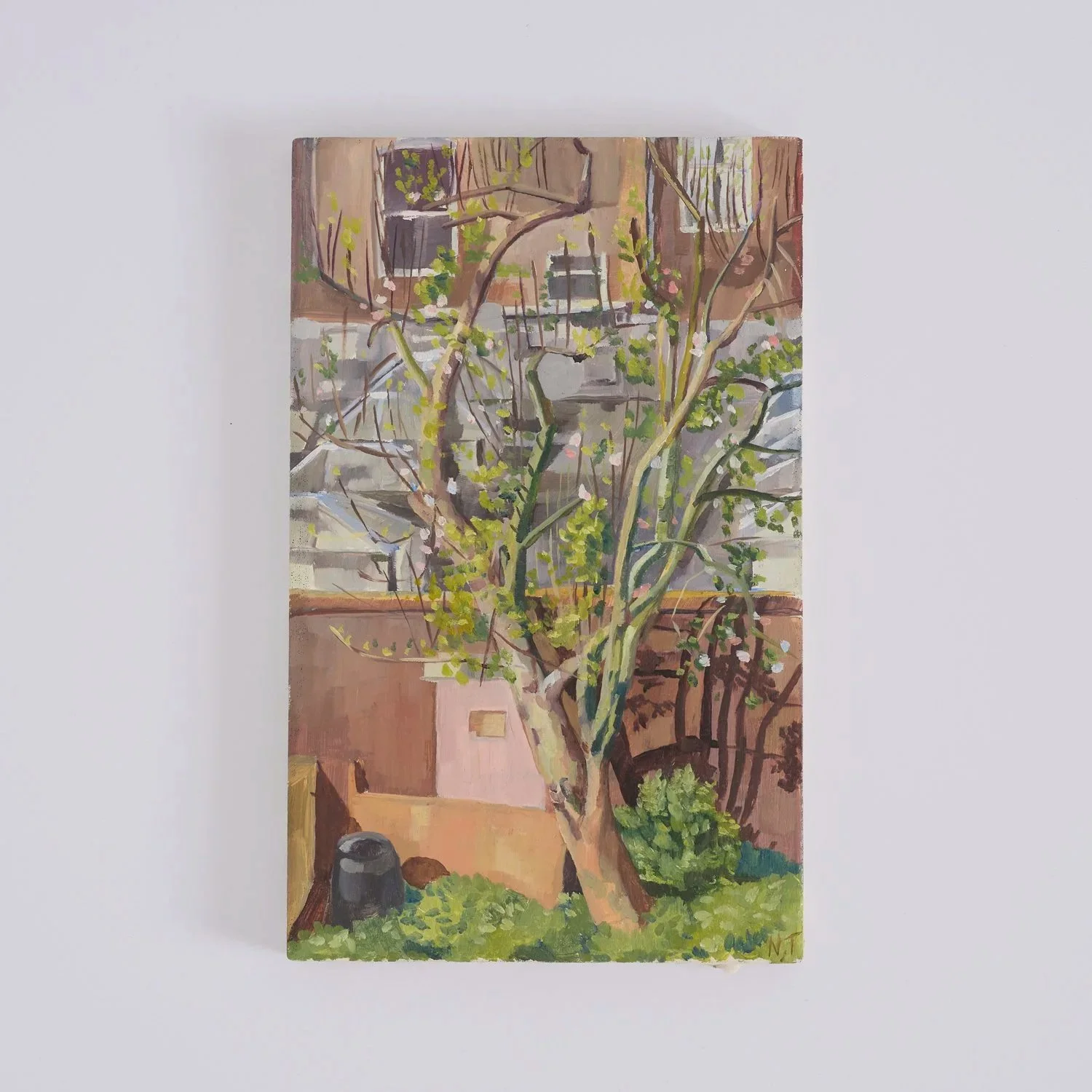 Natasha Tonkin Original Oil Painting Apple Blossom
