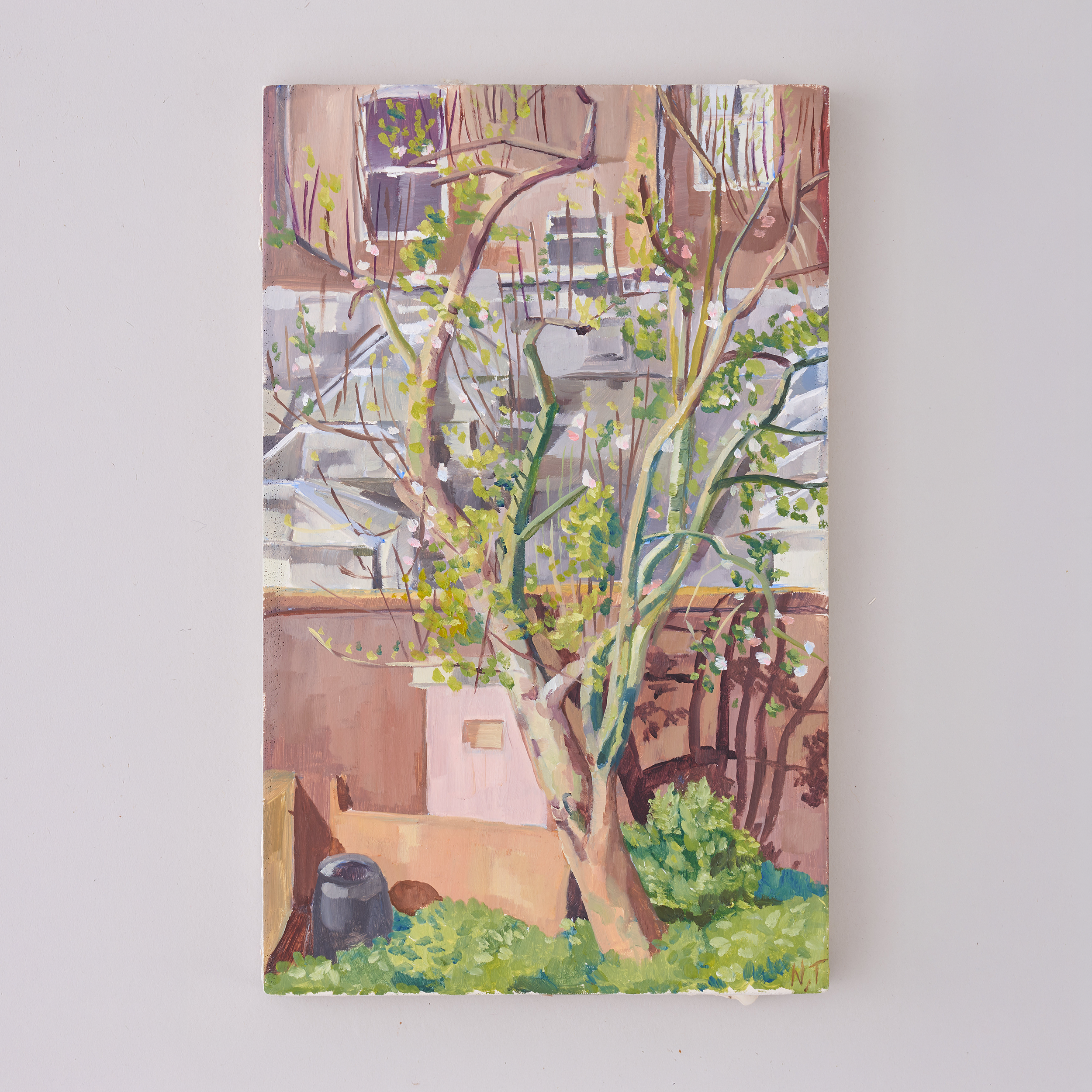 Apple blossom
