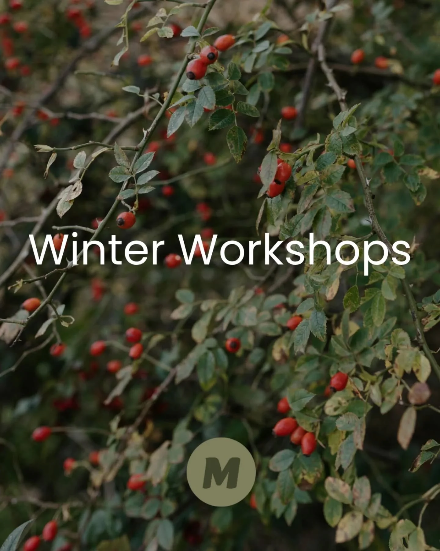 Get cozy with us this winter ❄️

#Dennistoun #GlaagowEastEnd #GlasgowEvents #WhatsOnGlasgow #YinYogaGlasgow #WinterSolsticeGlasgow #SoundBathGlasgow