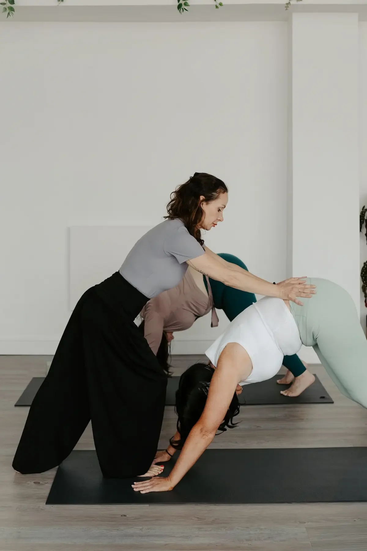 Choosing the Right Yoga Teacher Training in Glasgow, Scotland for You