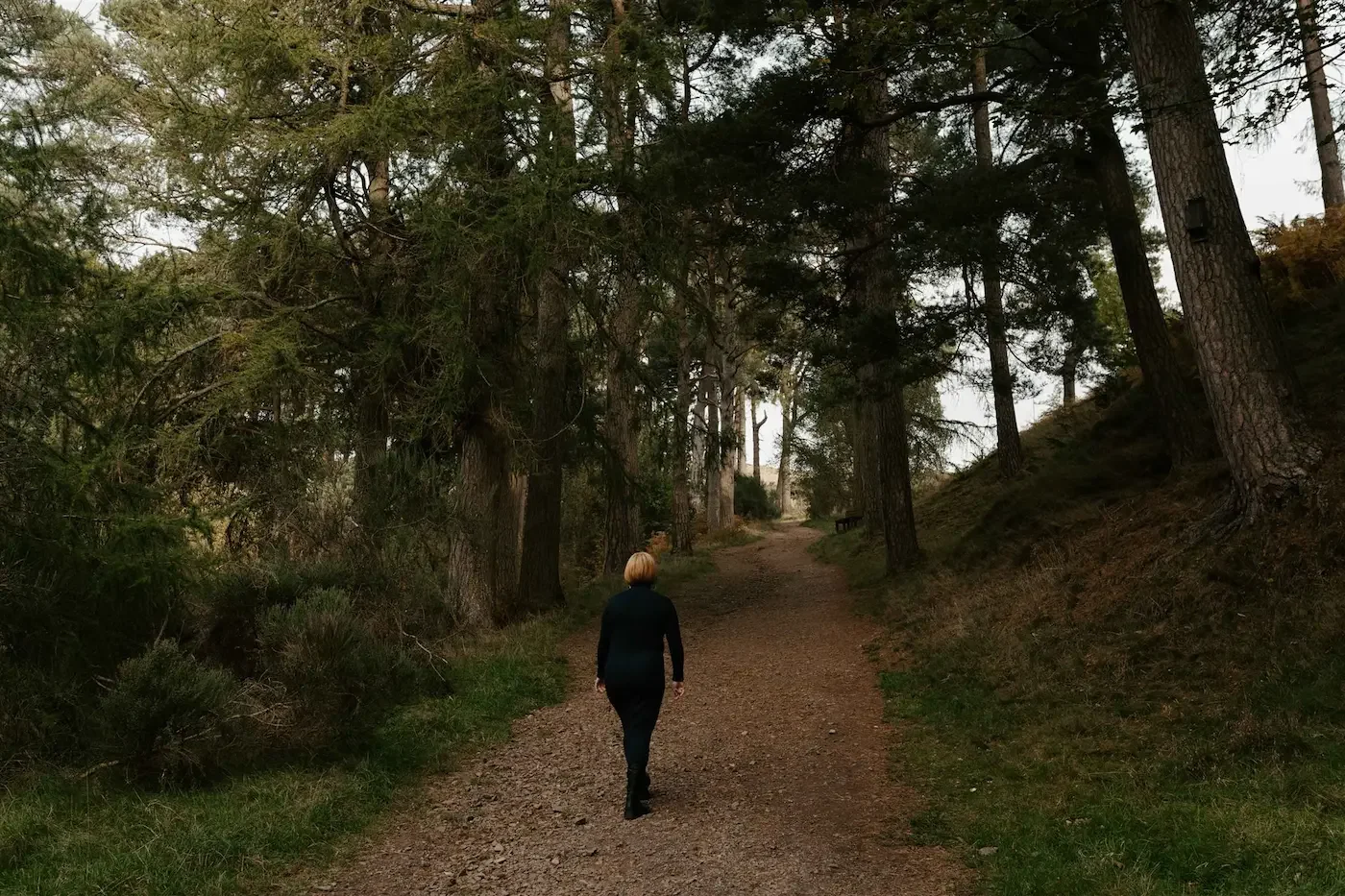 Michelle Lang walking through a forest during a shamanic immersion in nature, surrounded by trees and natural light.