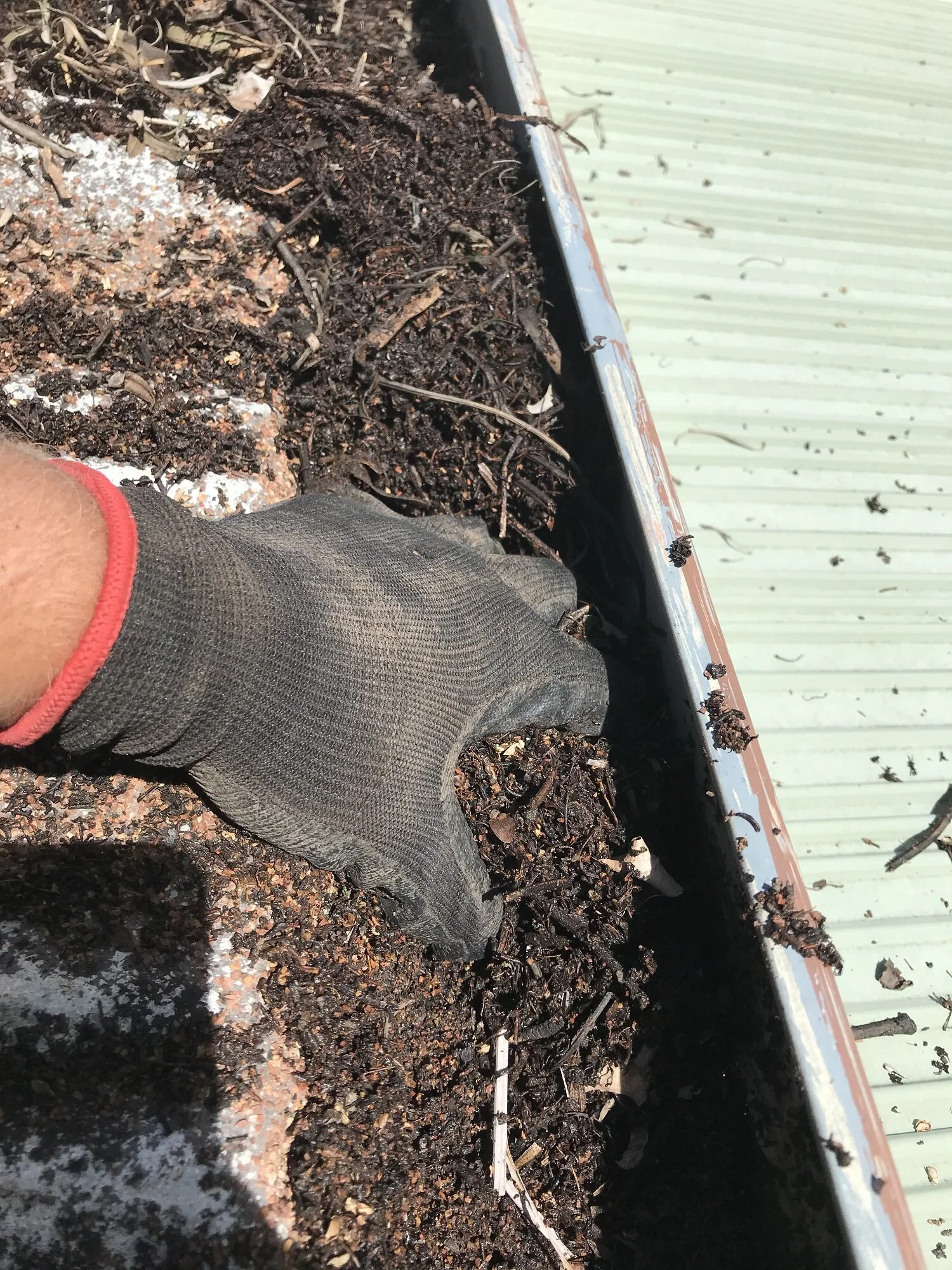 Brisbane Gold Coast Logan Gutter Cleaning Before 1.jpg