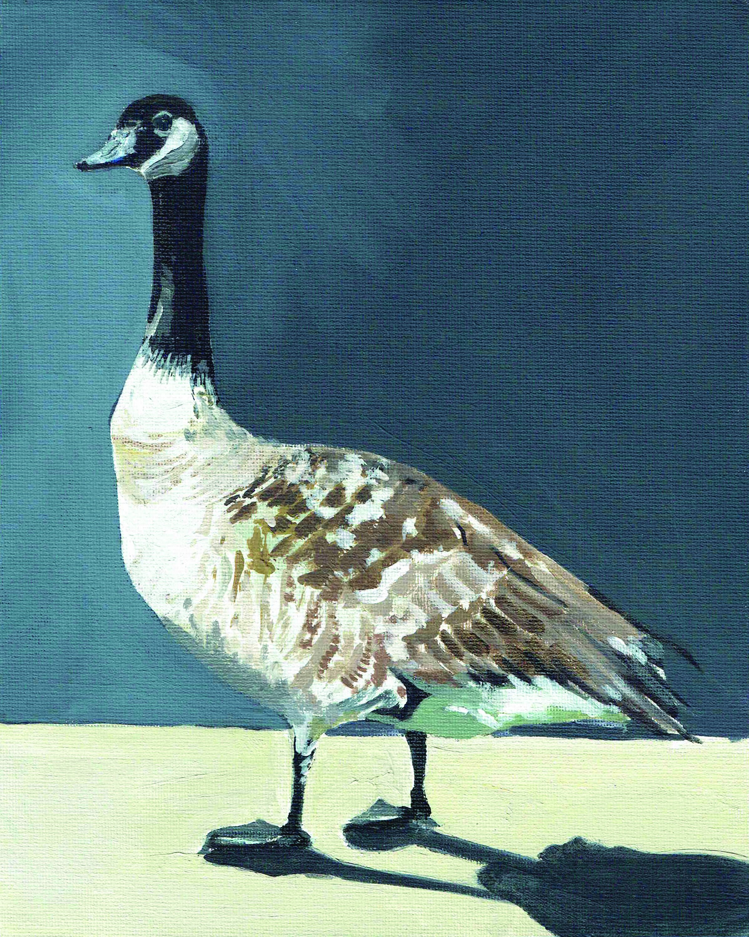 Stellina Goose.jpg