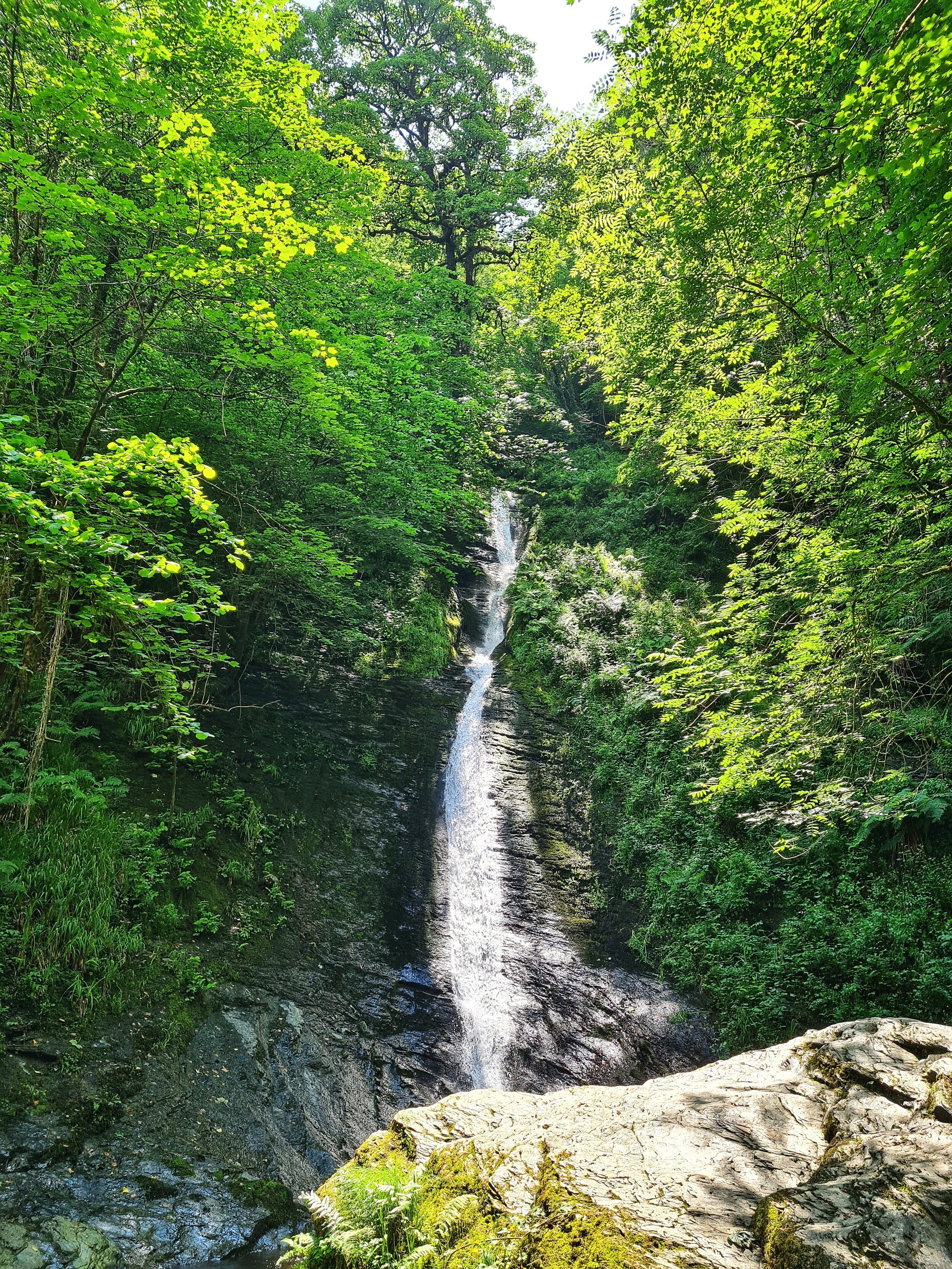Lynford waterfall.jpg