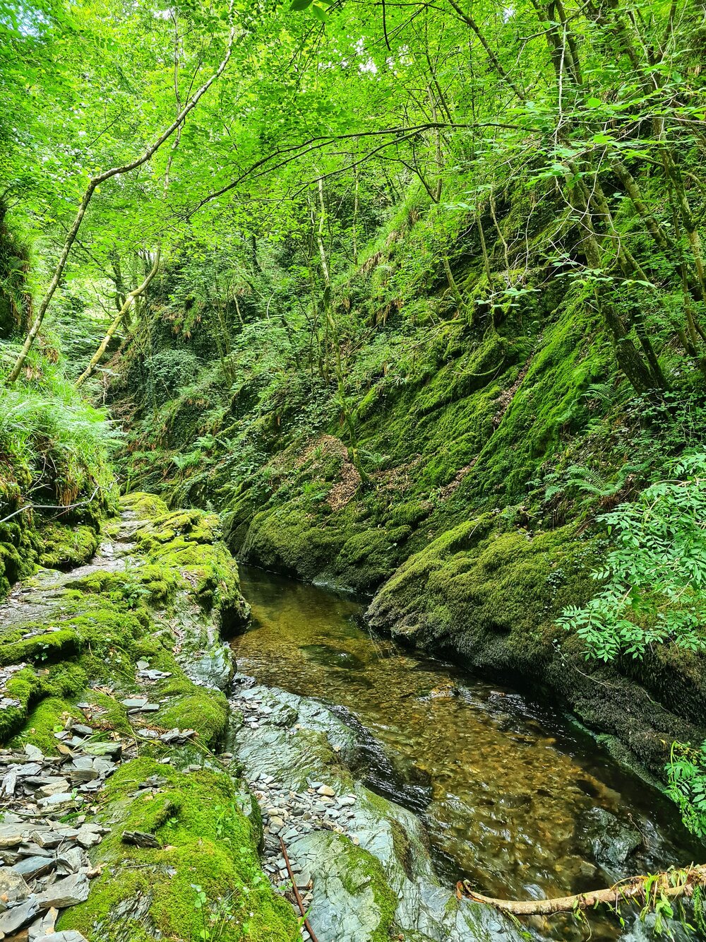 Lynford gorge 4.jpg