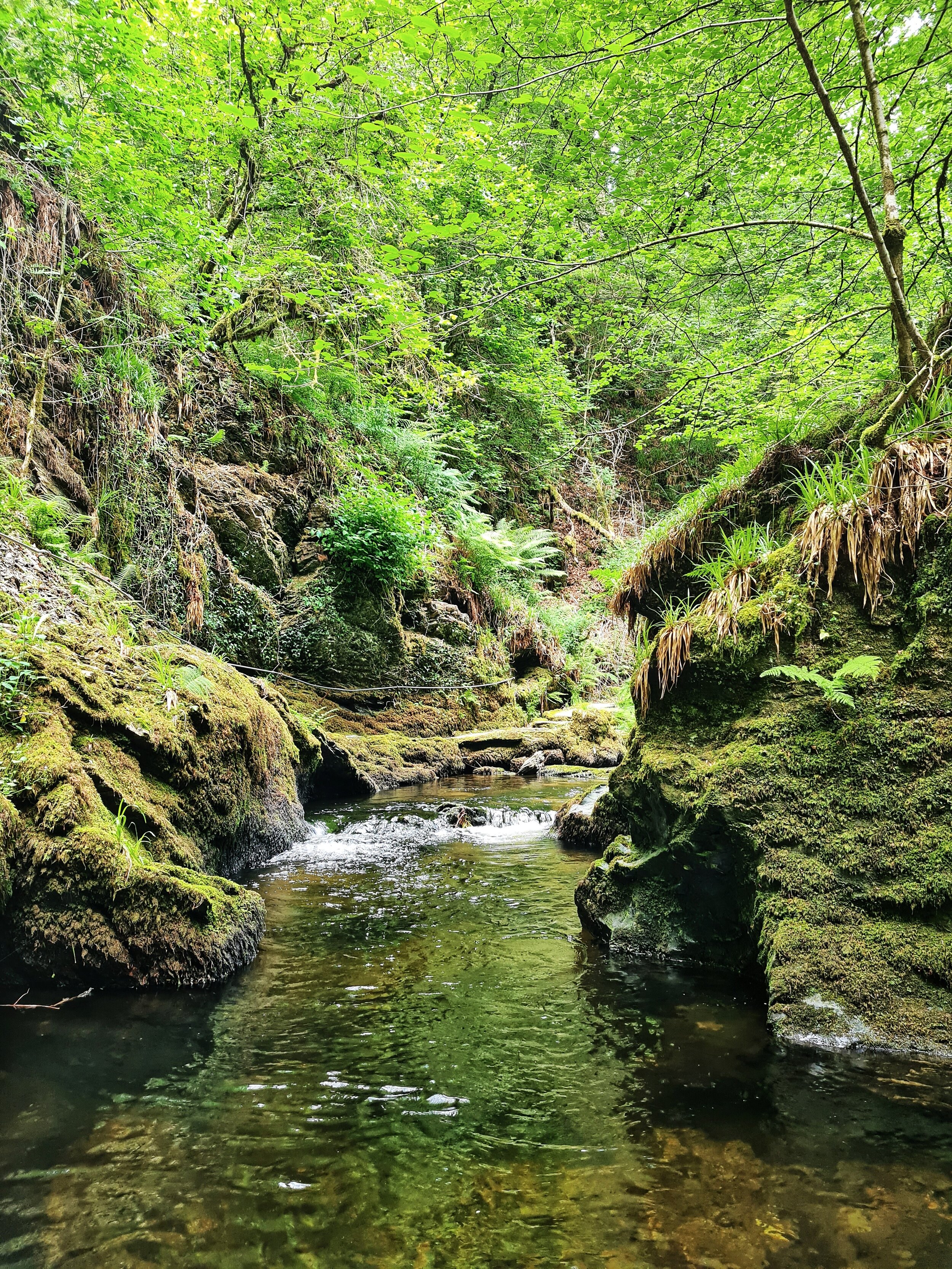 Lydford gorge 5.jpg