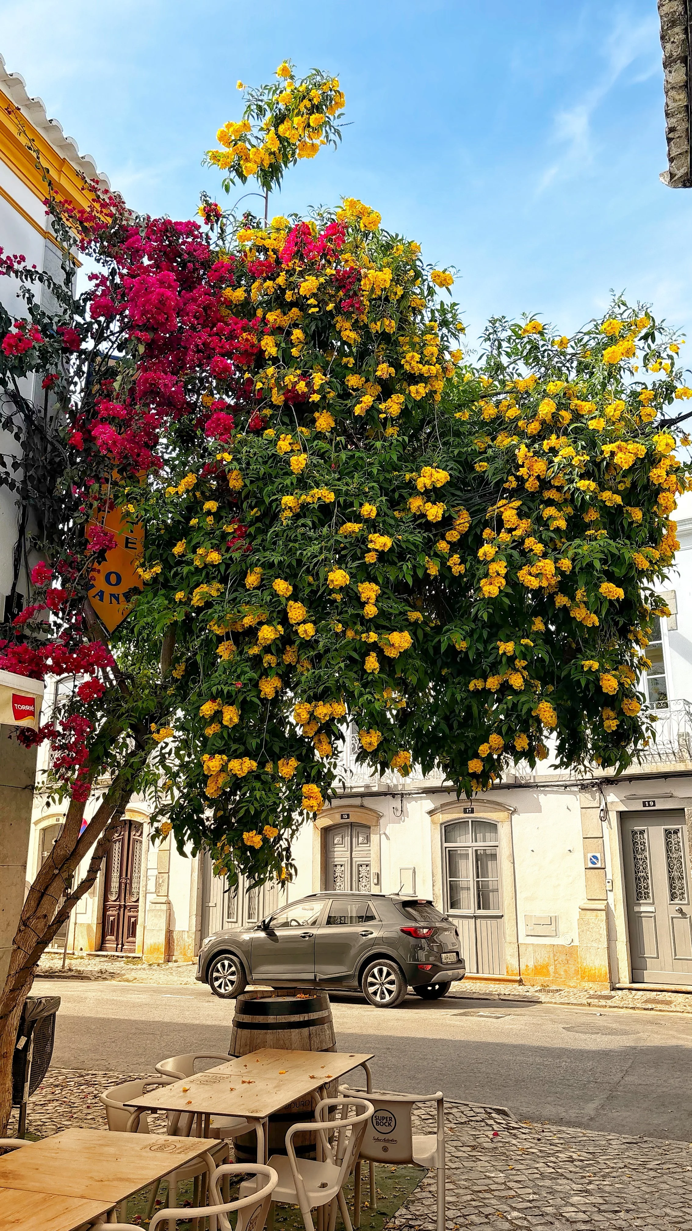 image00014.jpeg
