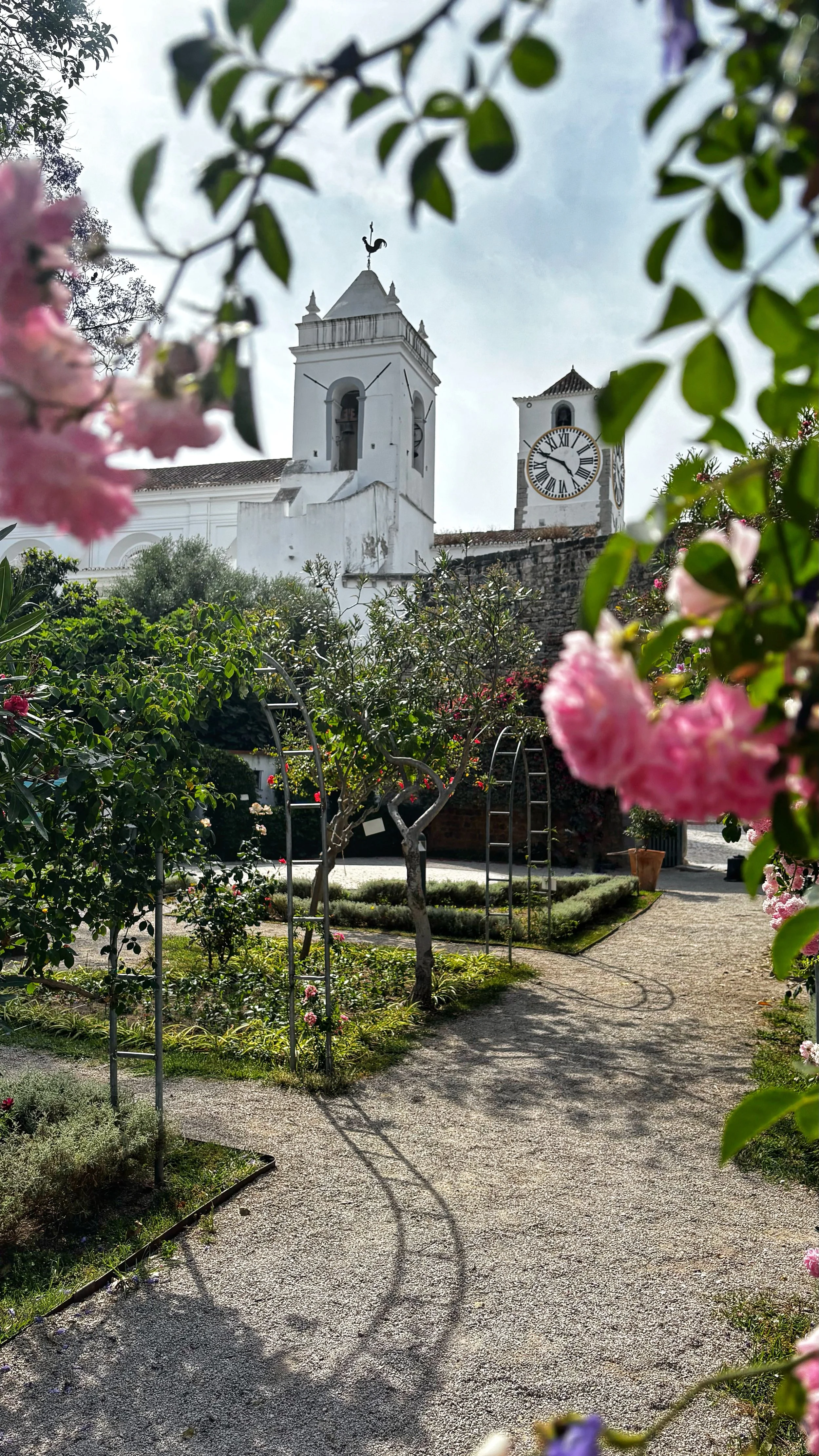 image00001.jpeg