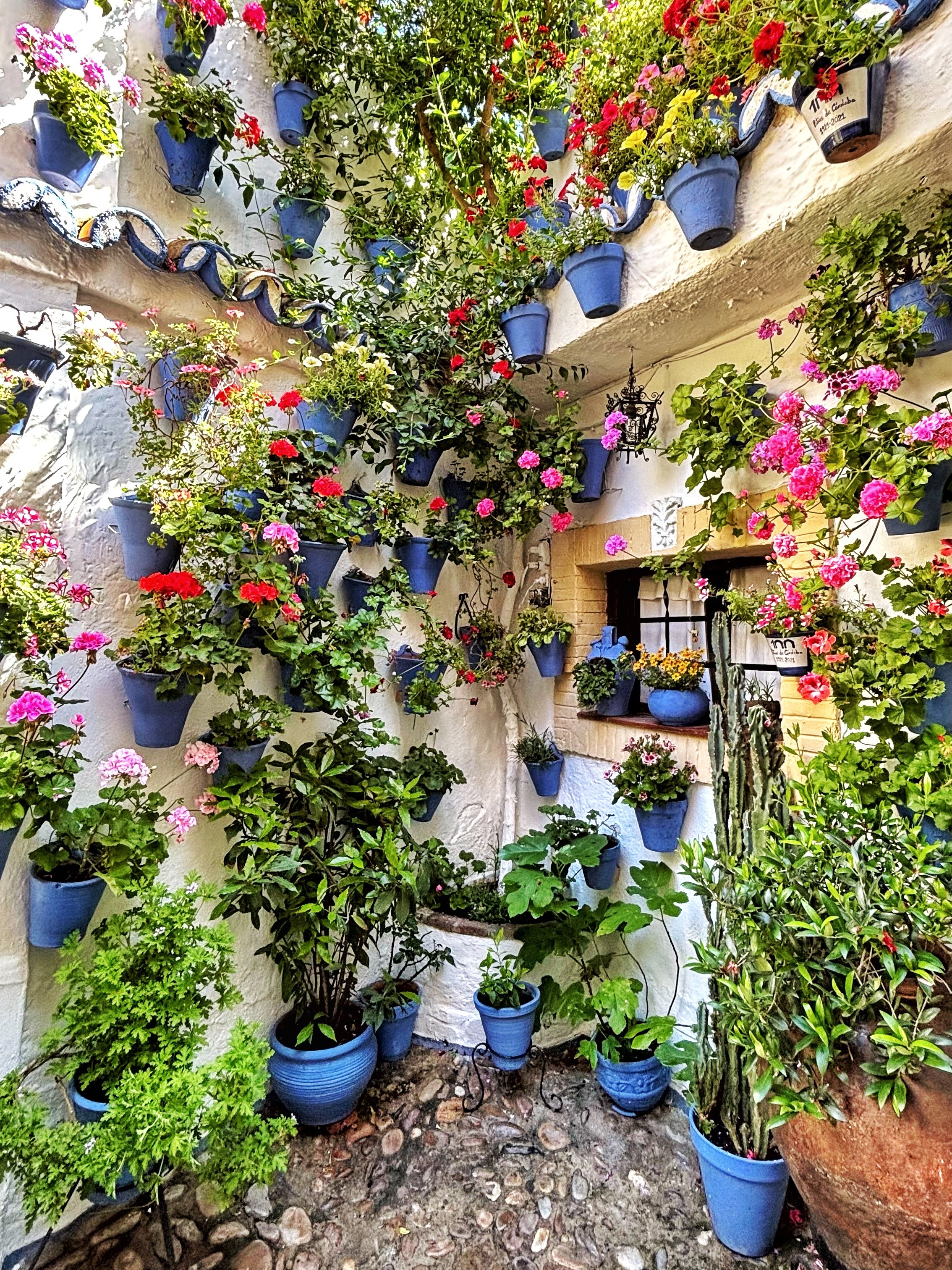 20240510_094304786_iOS 1.JPG