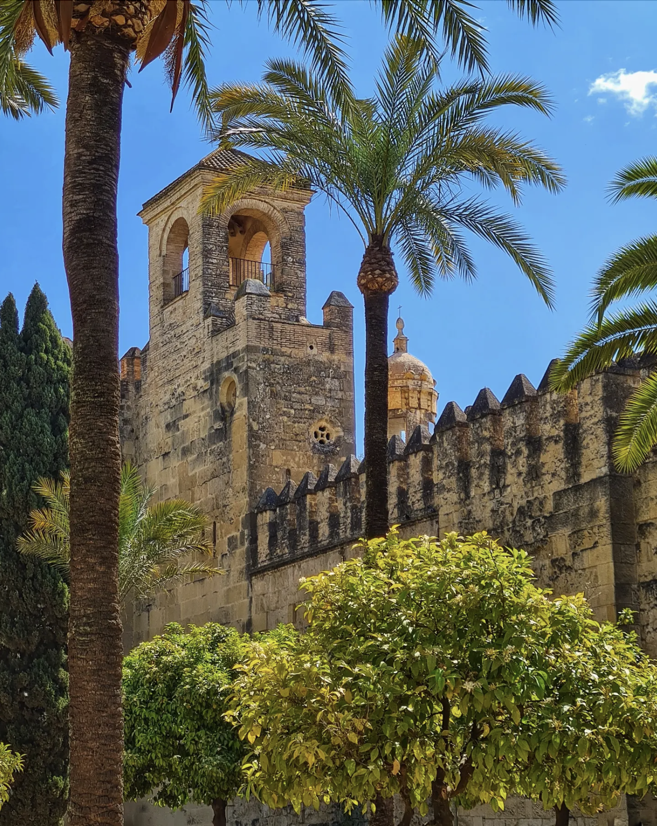 Screenshot 2026-03-26 at 18.13.20.png