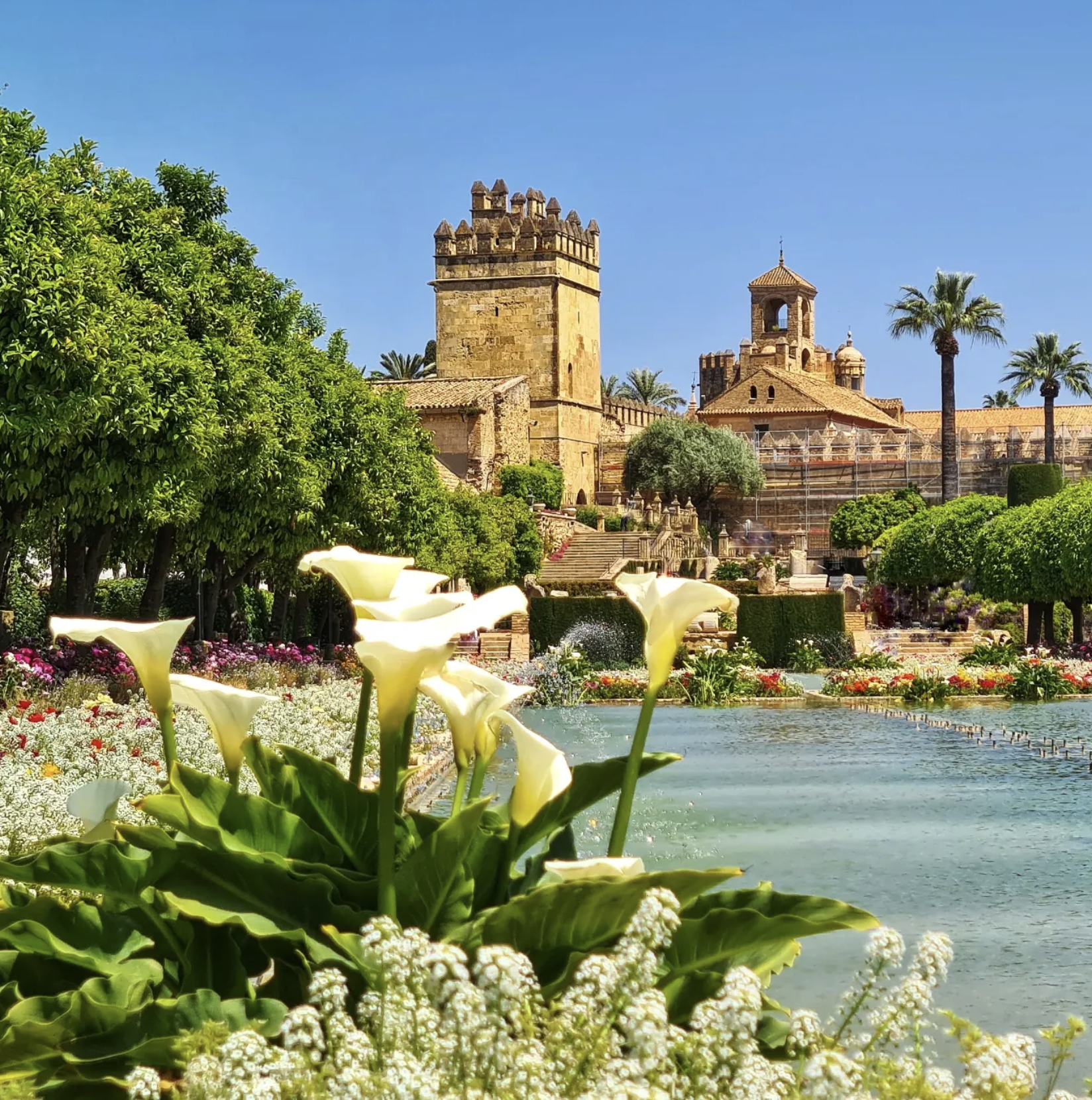 Screenshot 2026-03-26 at 18.12.44.png