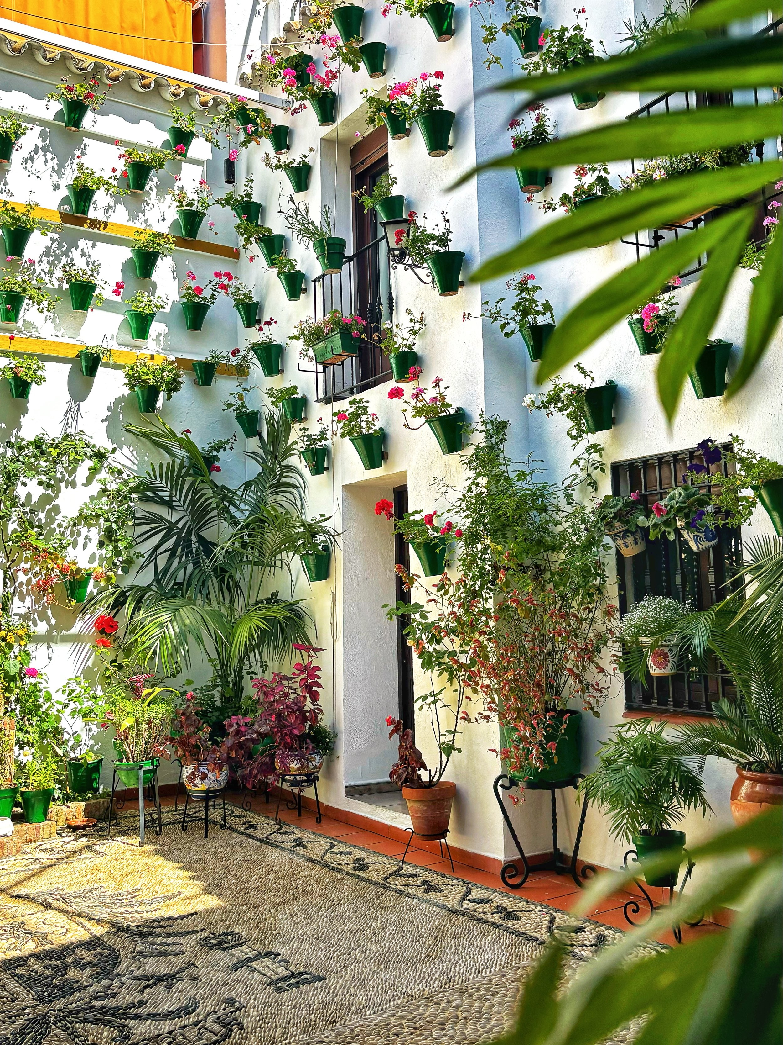 20240510_100339905_iOS 1.JPG