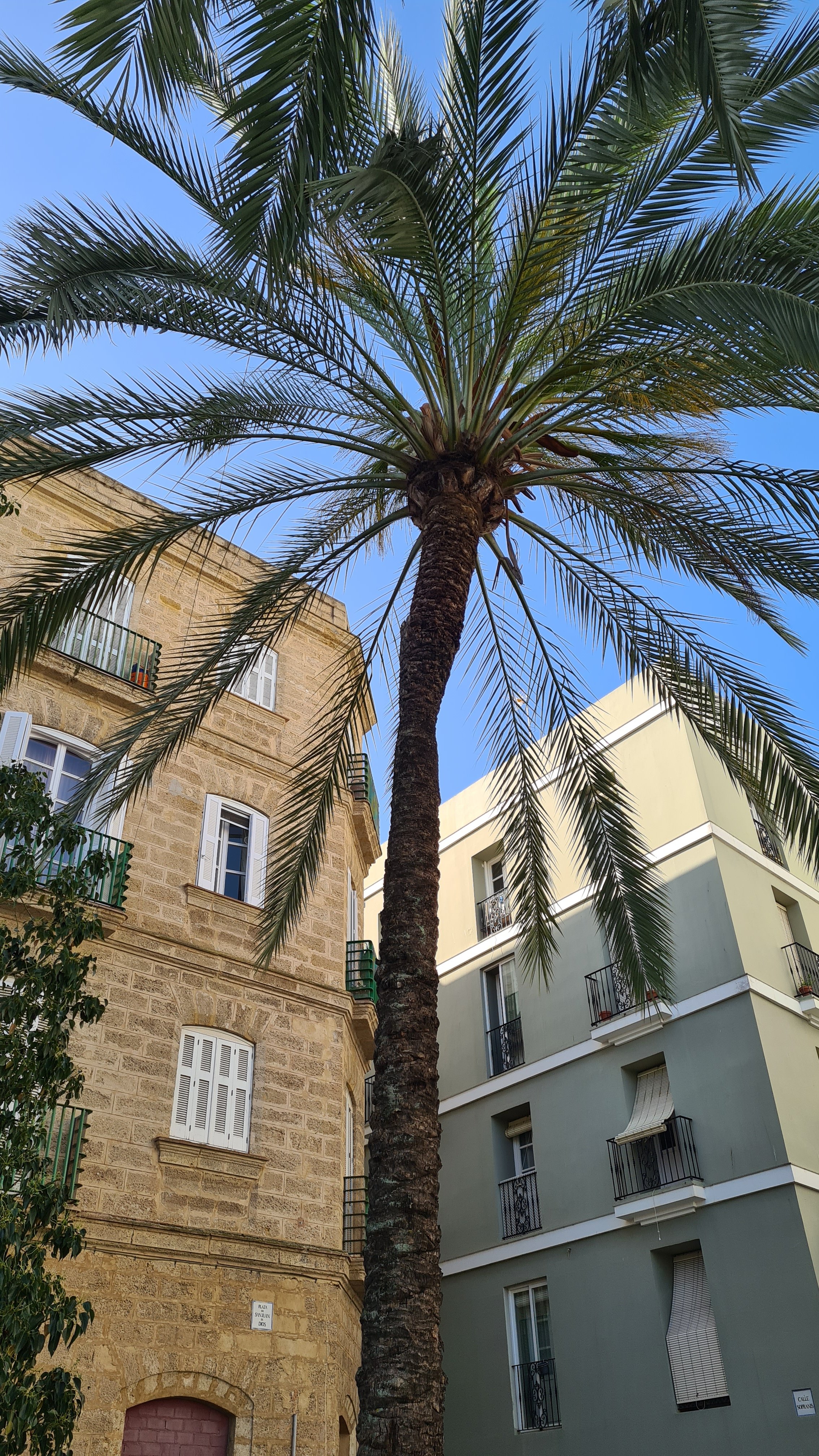 20220518_095457.JPG