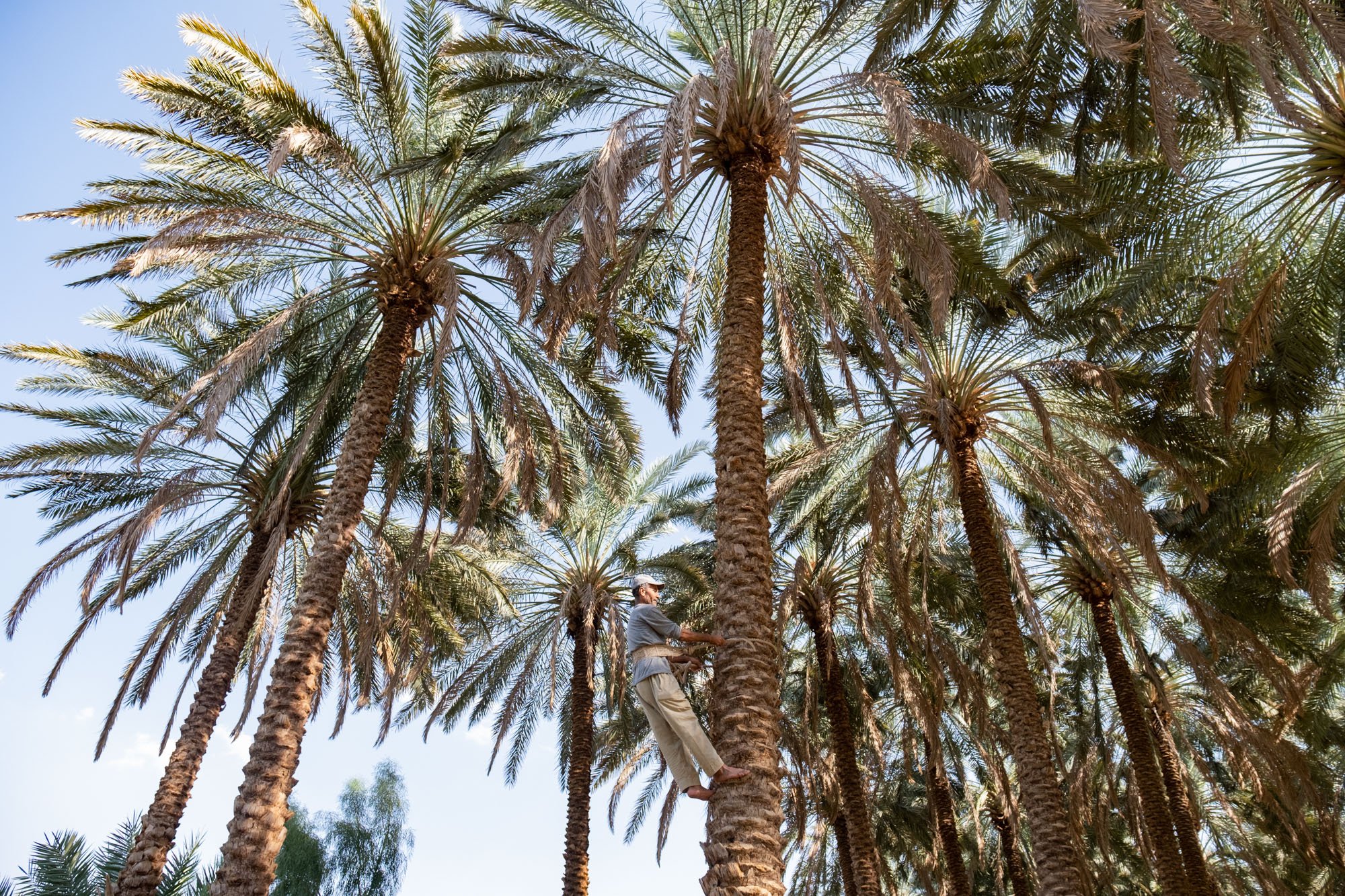  AlUla x Credit Natalie Naccache x Lowres 29.jpg