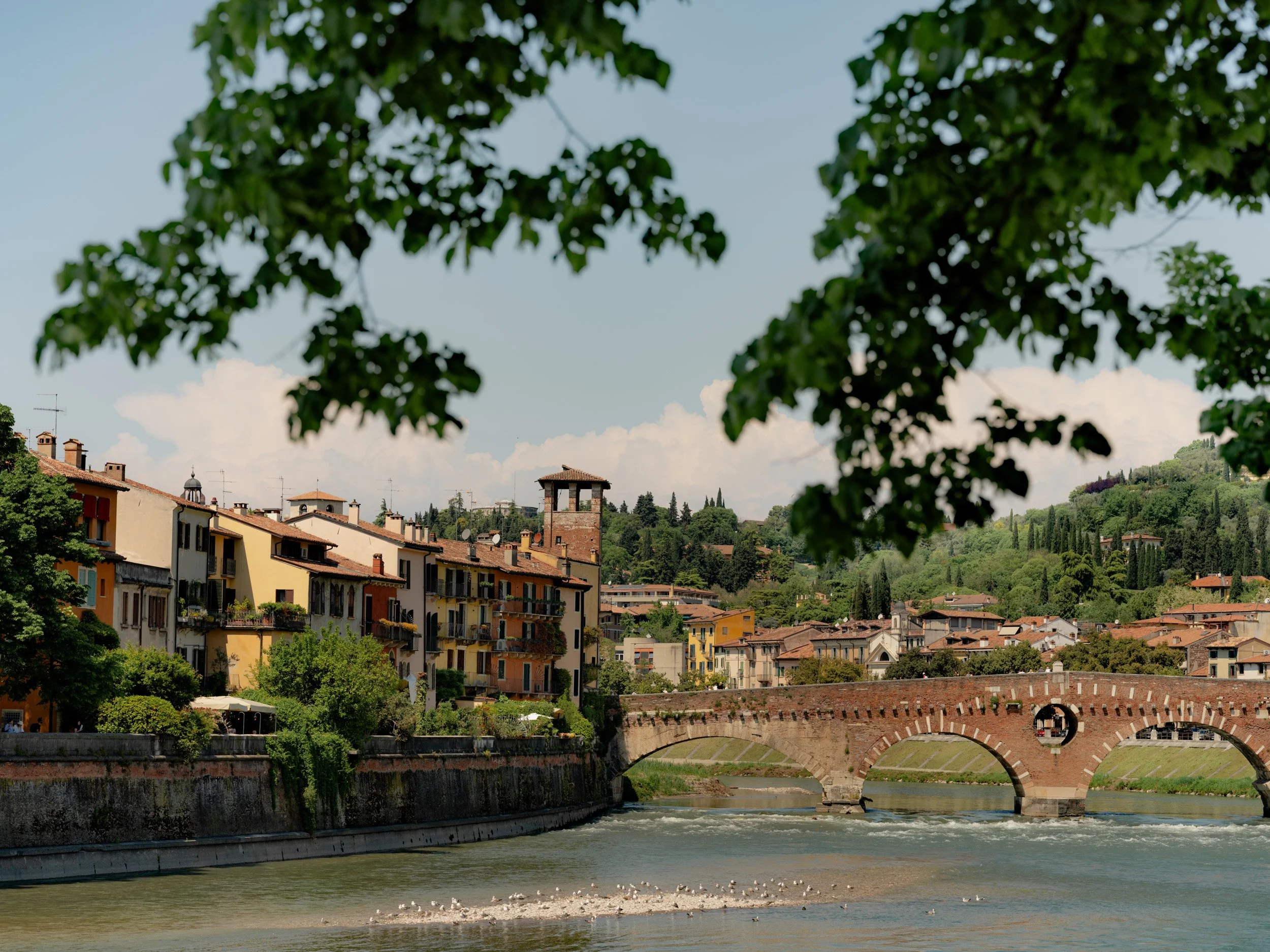 Italy Verona GRJ Italy CREDIT Andrew Urwin DSCF7245 RS.jpg