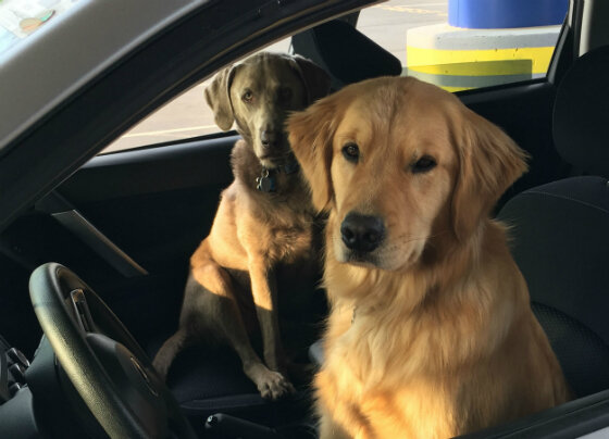 What's your superpower?