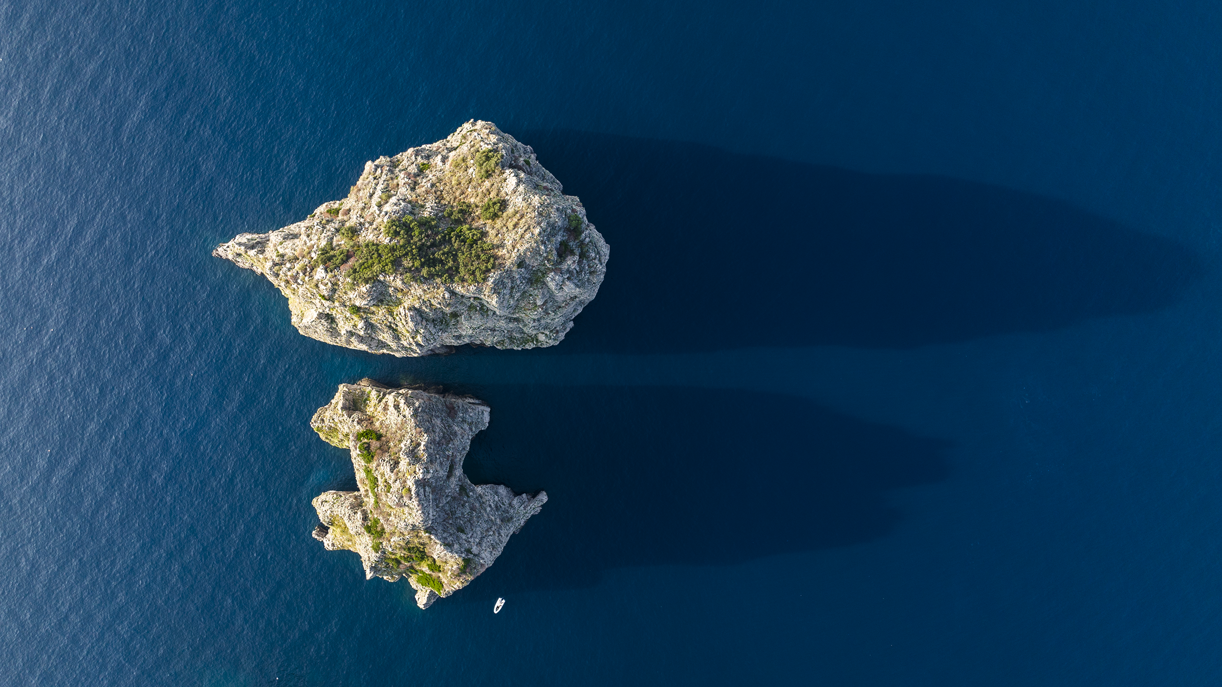 Capri Twins