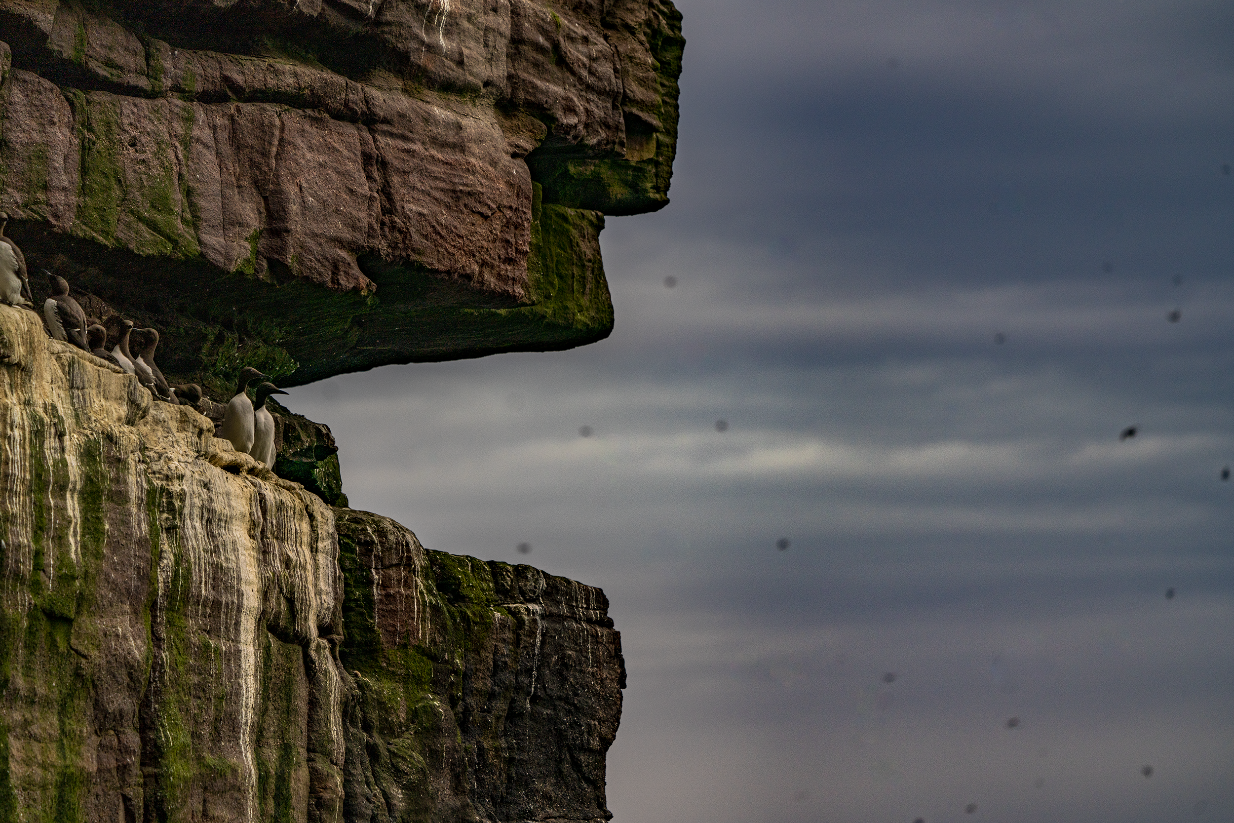 Mouth of the Cliff