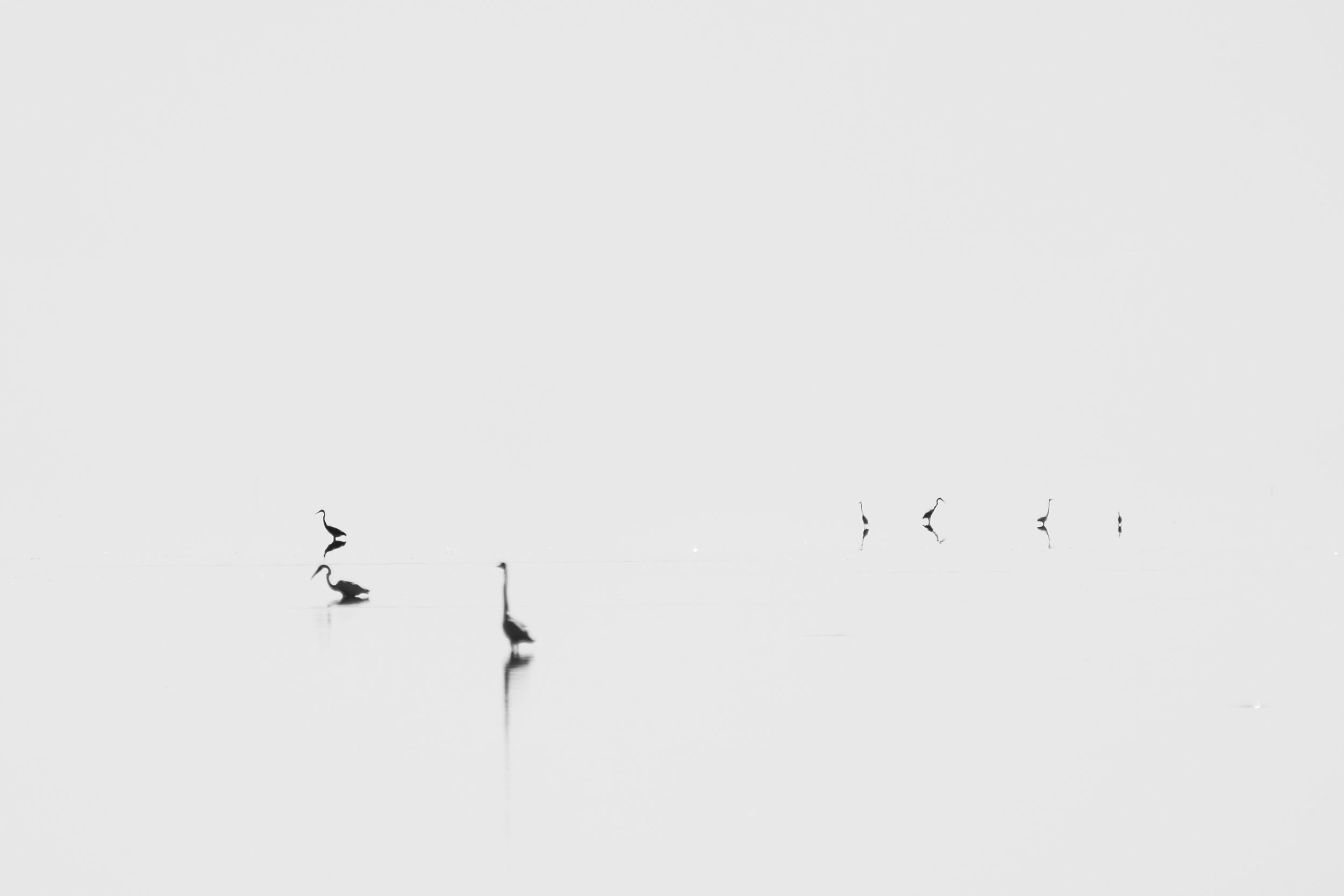 Wading in the Infinite