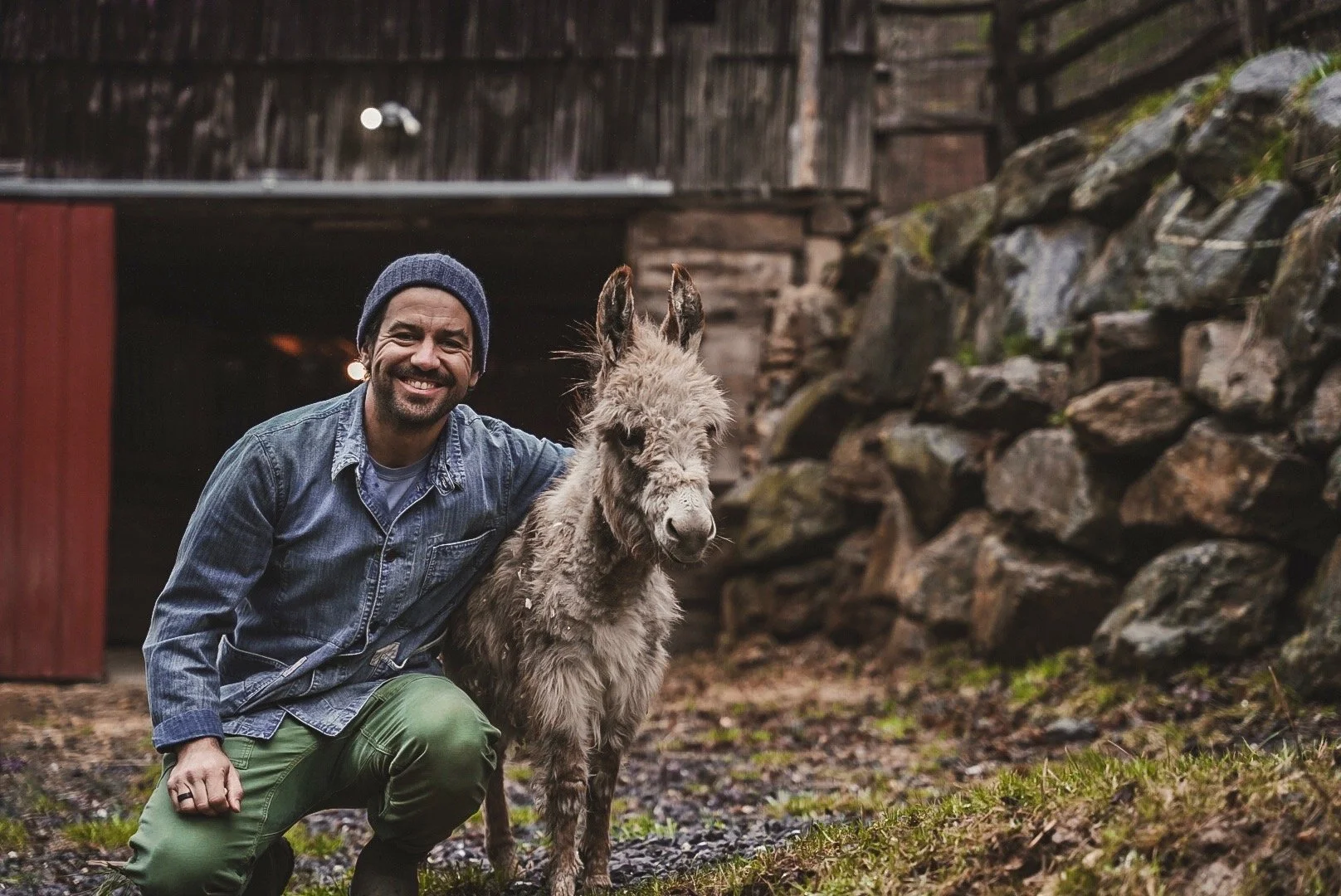 A man wearing a beanie and a denim jacket kneeling next to a llama outdoors with a stone wall and a wooden structure in the background.
