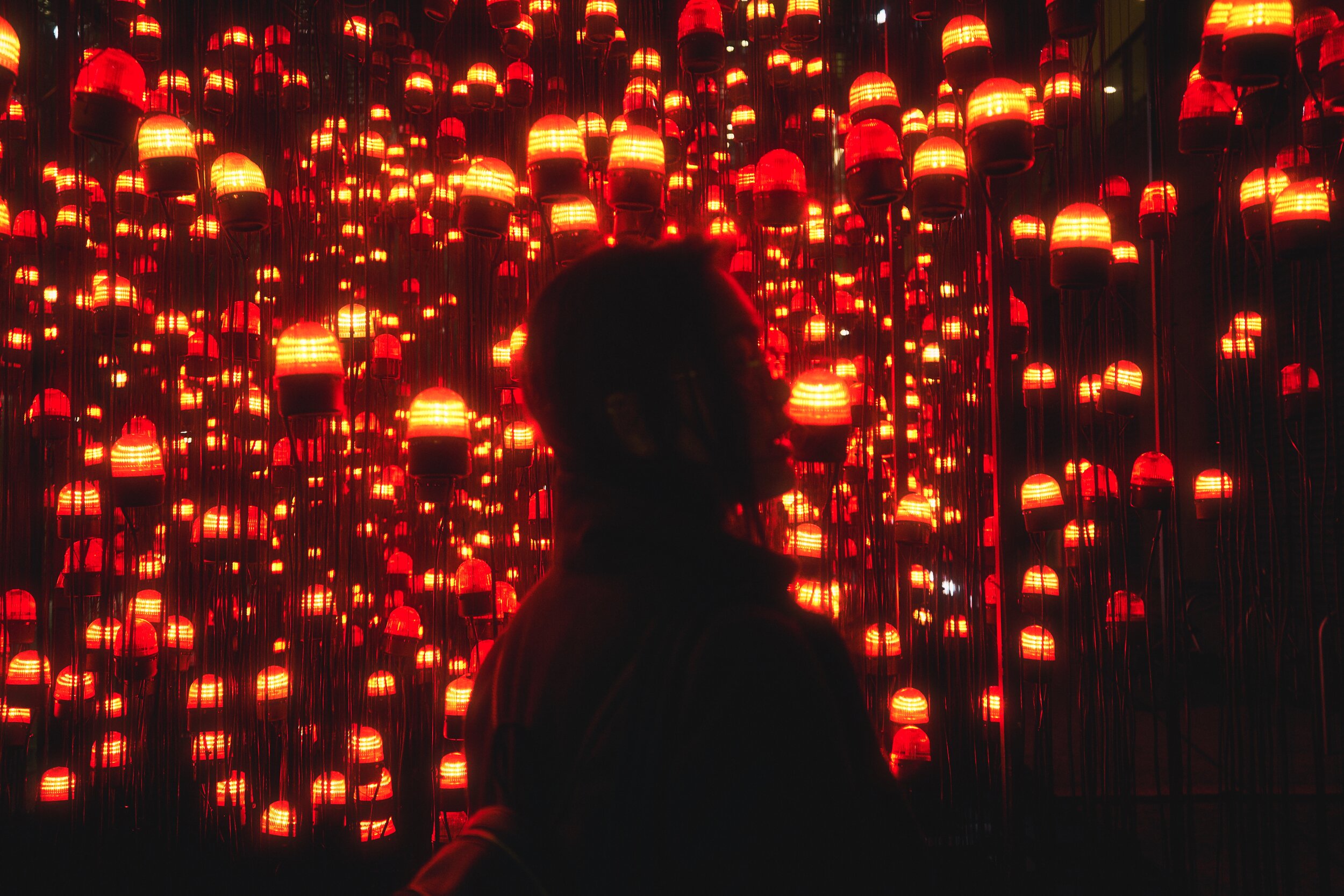 WINTER LIGHTS.jpeg