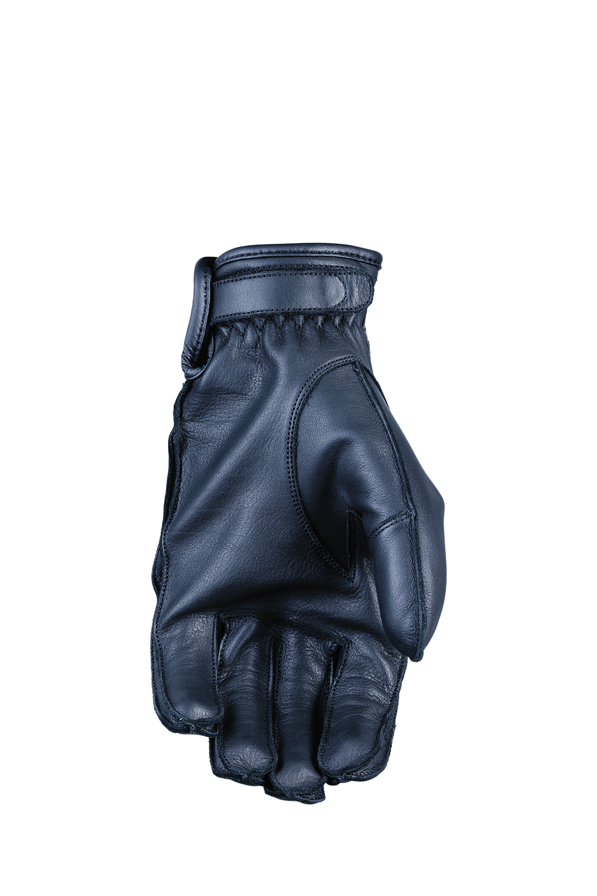iowa66_black_palm_2024.png
