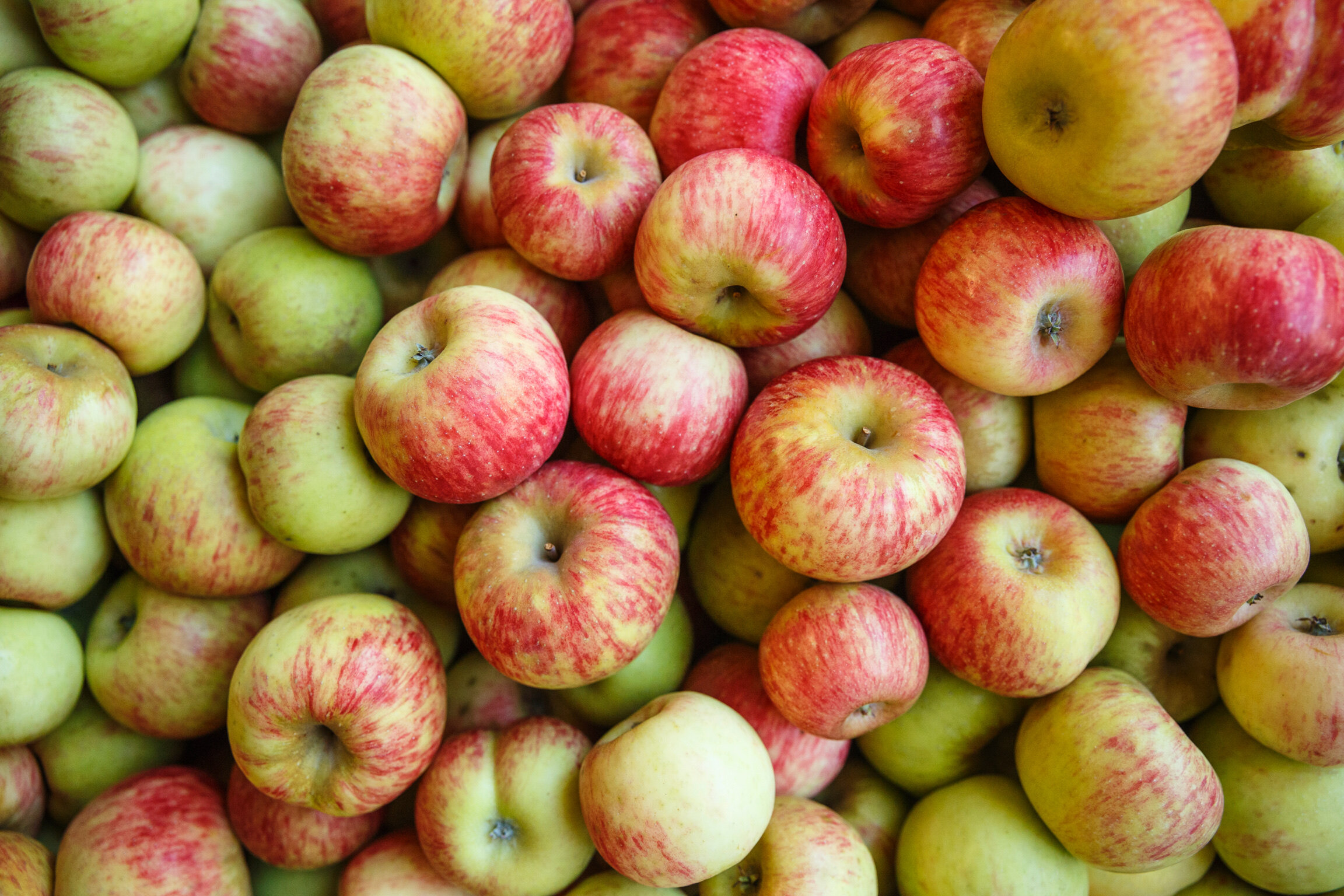 Organic Apples-HALF BUSHEL