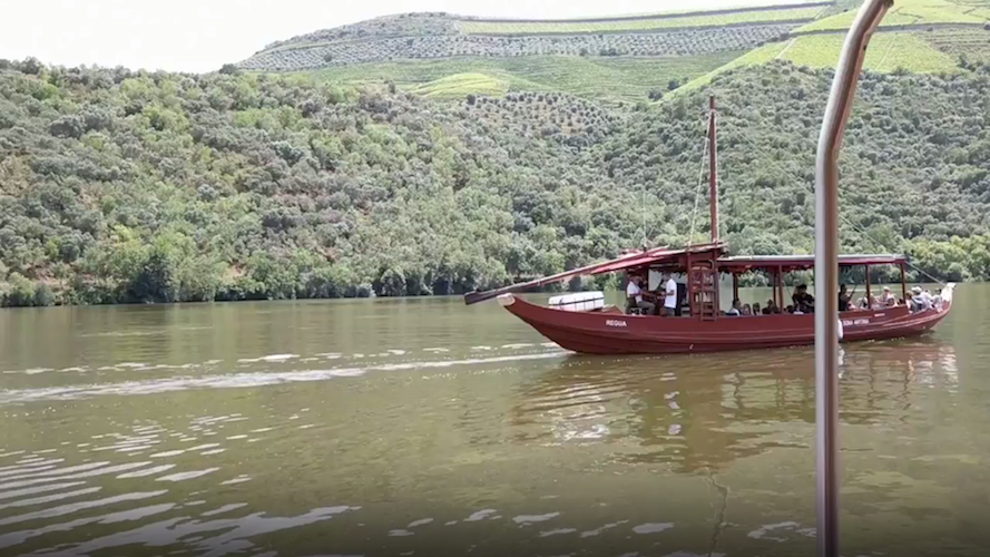 Download Glimpse AR and scan this image. 