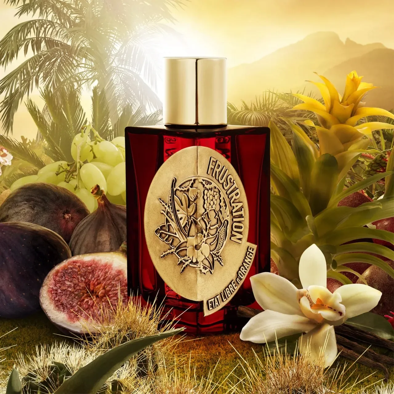 perfume-is-dead-long-live-perfume-yuk-kenalan-sama-tat-libre-dorange