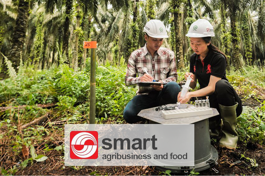 Company Profile PT Smart Agrobusiness and Food&nbsp;
