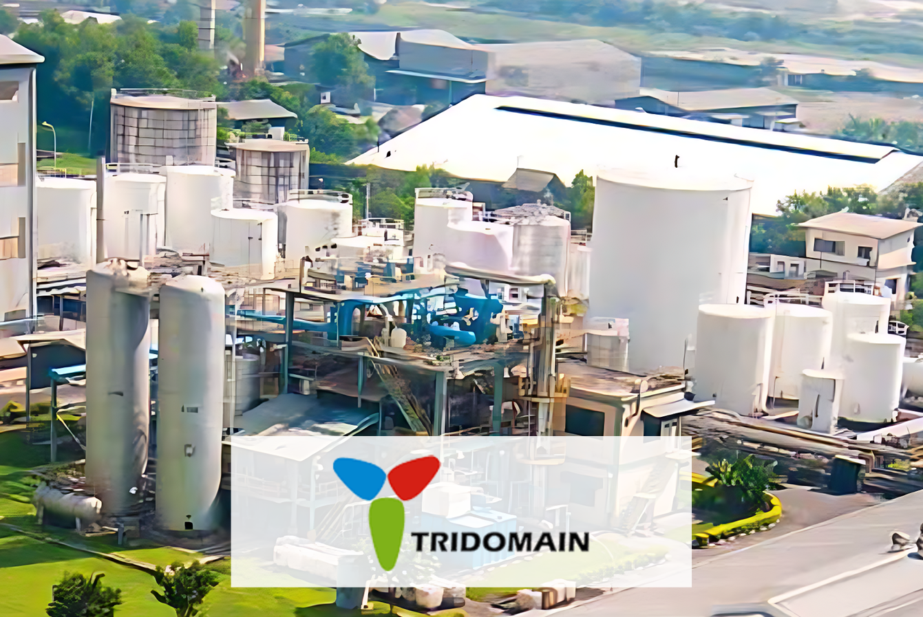 Company Profile PT Tridomain Performance Materials Tbk.