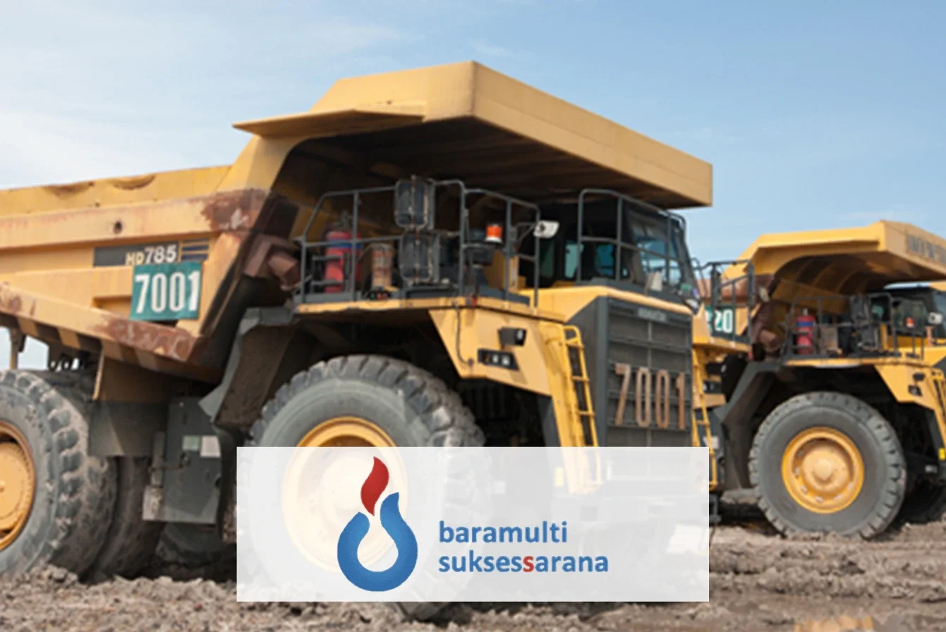Company Profile PT Baramulti Suksessarana Tbk