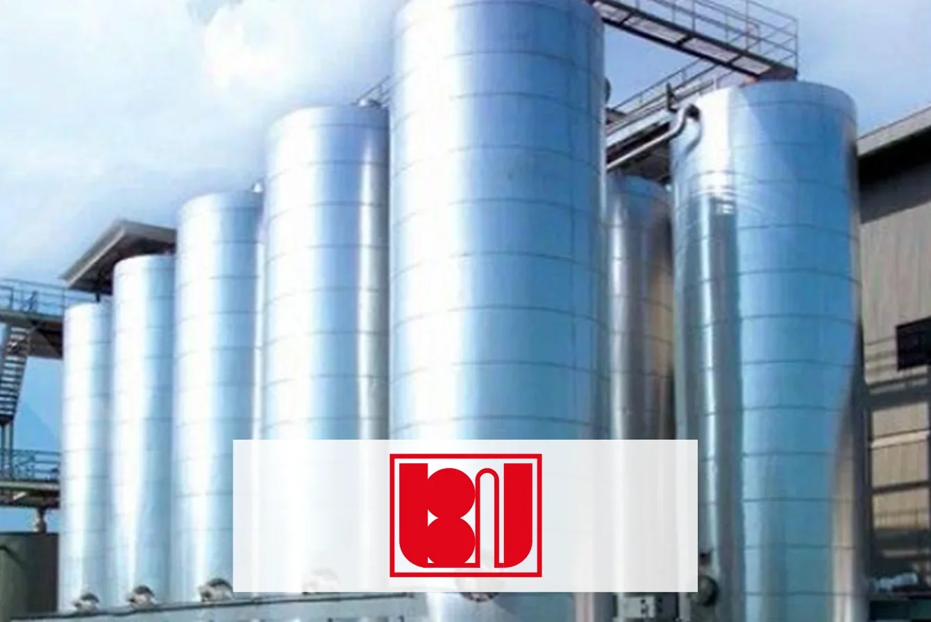 Company Profile PT Budi Starch &amp; Sweetener Tbk.