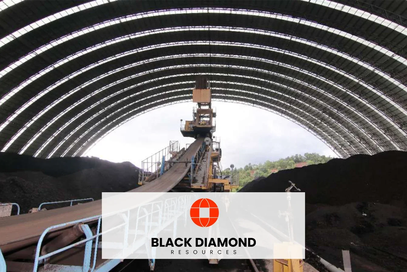 Company Profile PT Black Diamond Resources Tbk