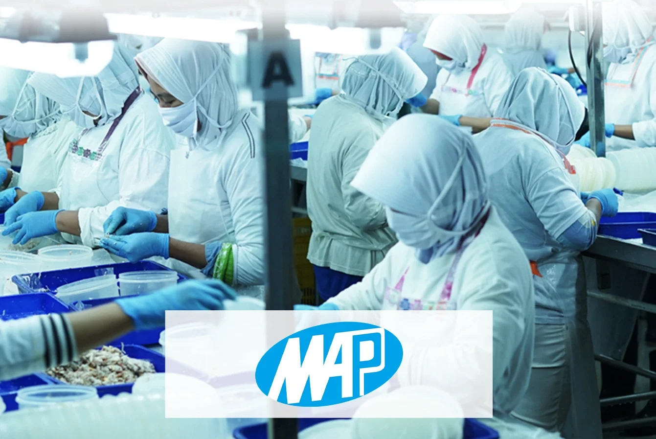 Company Profile PT Morenzo Abadi Perkasa Tbk, Kode Saham ENZO, Investasi Tren Pasar dan Insight Hari Ini bagi Investor