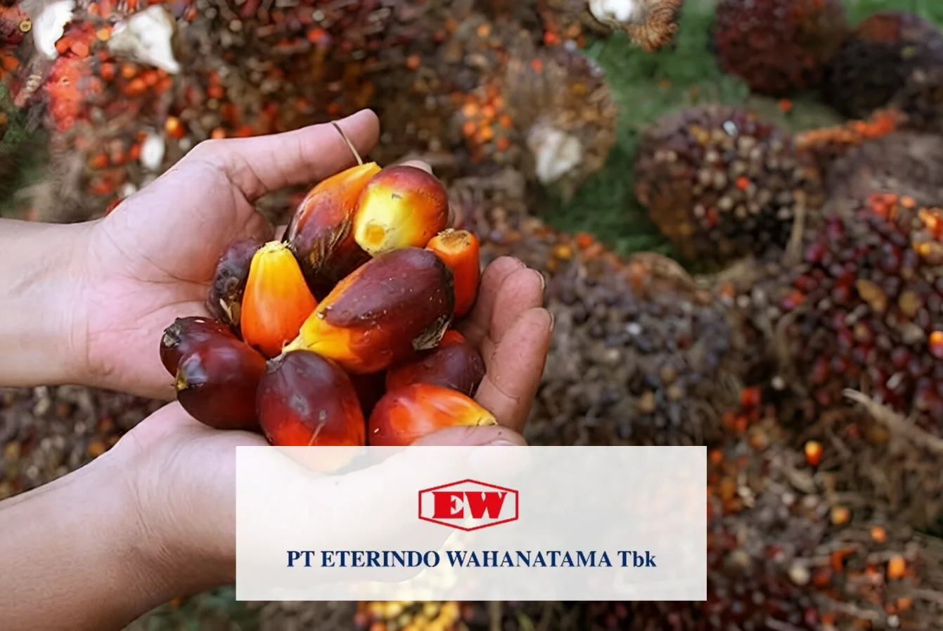 Company Profile Eterindo Wahanatama Tbk, Kode Saham ETWA, Investasi Tren Pasar dan Insight Hari Ini bagi Investor