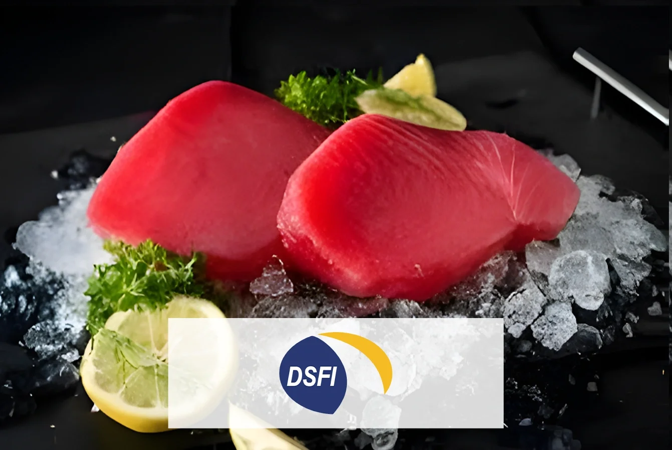 Company Profile Dharma Samudera Fishing Ind Tbk, Kode Saham DSFI, Investasi Tren Pasar dan Insight Hari Ini bagi Investor