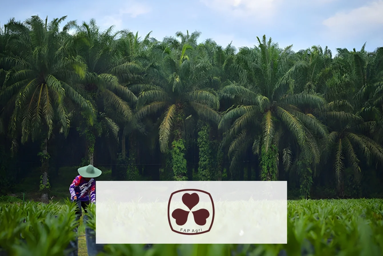 Company Profile PT FAP Agri Tbk, Kode Saham FAPA, Investasi Tren Pasar dan Insight Hari Ini bagi Investor